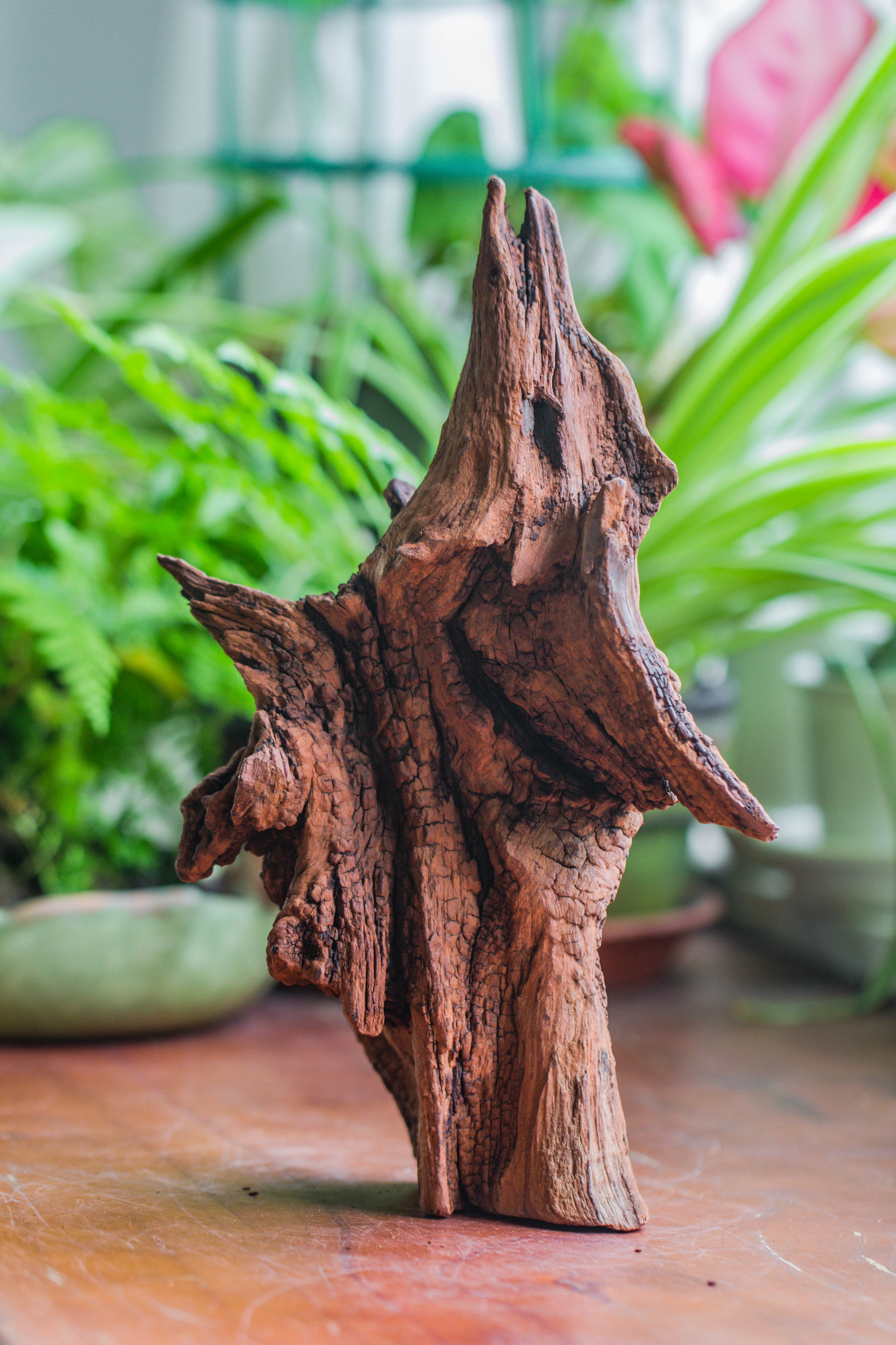 Copy of Natural driftwood for moss terrarium, miniature, micro landscape, unique  10-33, suitable for both live and preserved moss - NCYPgarden