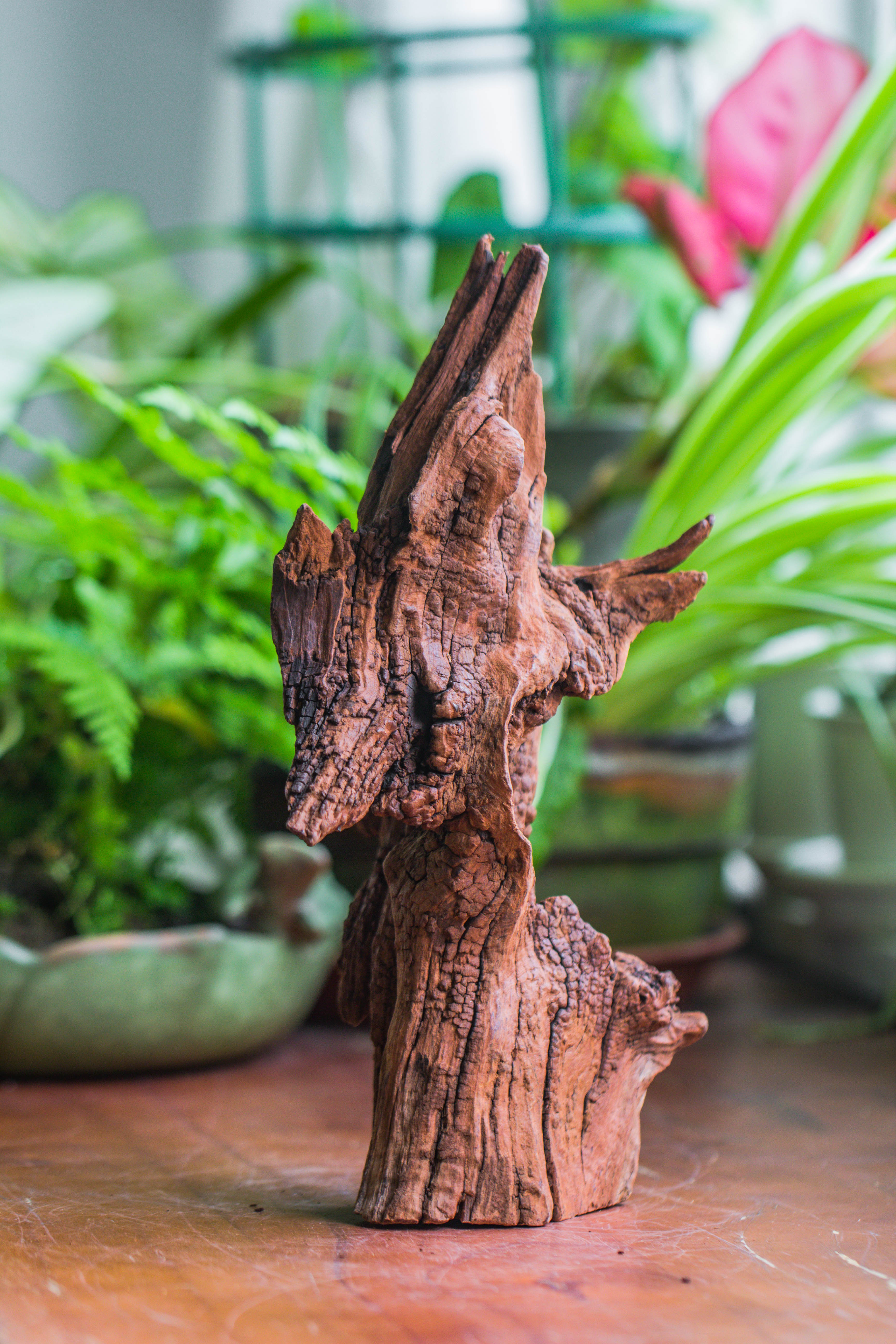 Copy of Natural driftwood for moss terrarium, miniature, micro landscape, unique  10-33, suitable for both live and preserved moss - NCYPgarden