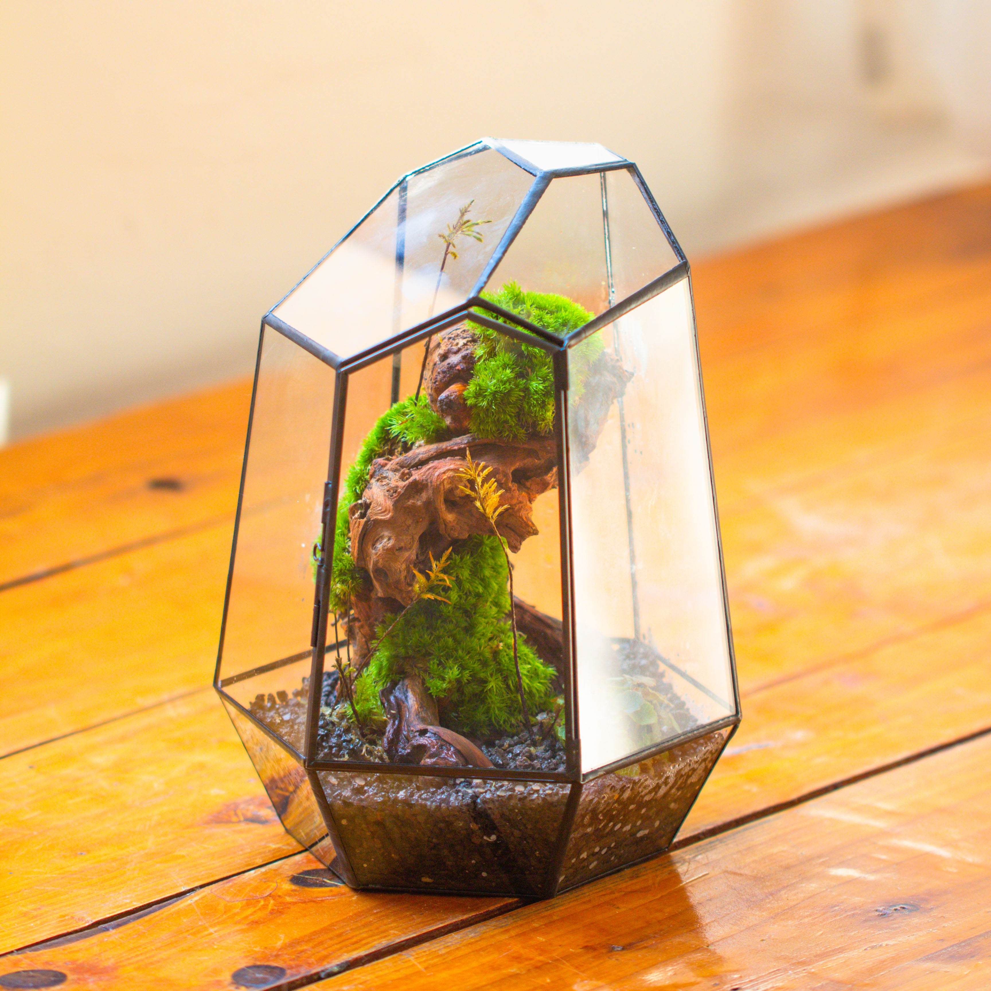 NCYP Large Close Geometric Glass Terrarium with Door, Tin Sealed Irregular Tall Planter for moss Flower Pot - NCYPgarden