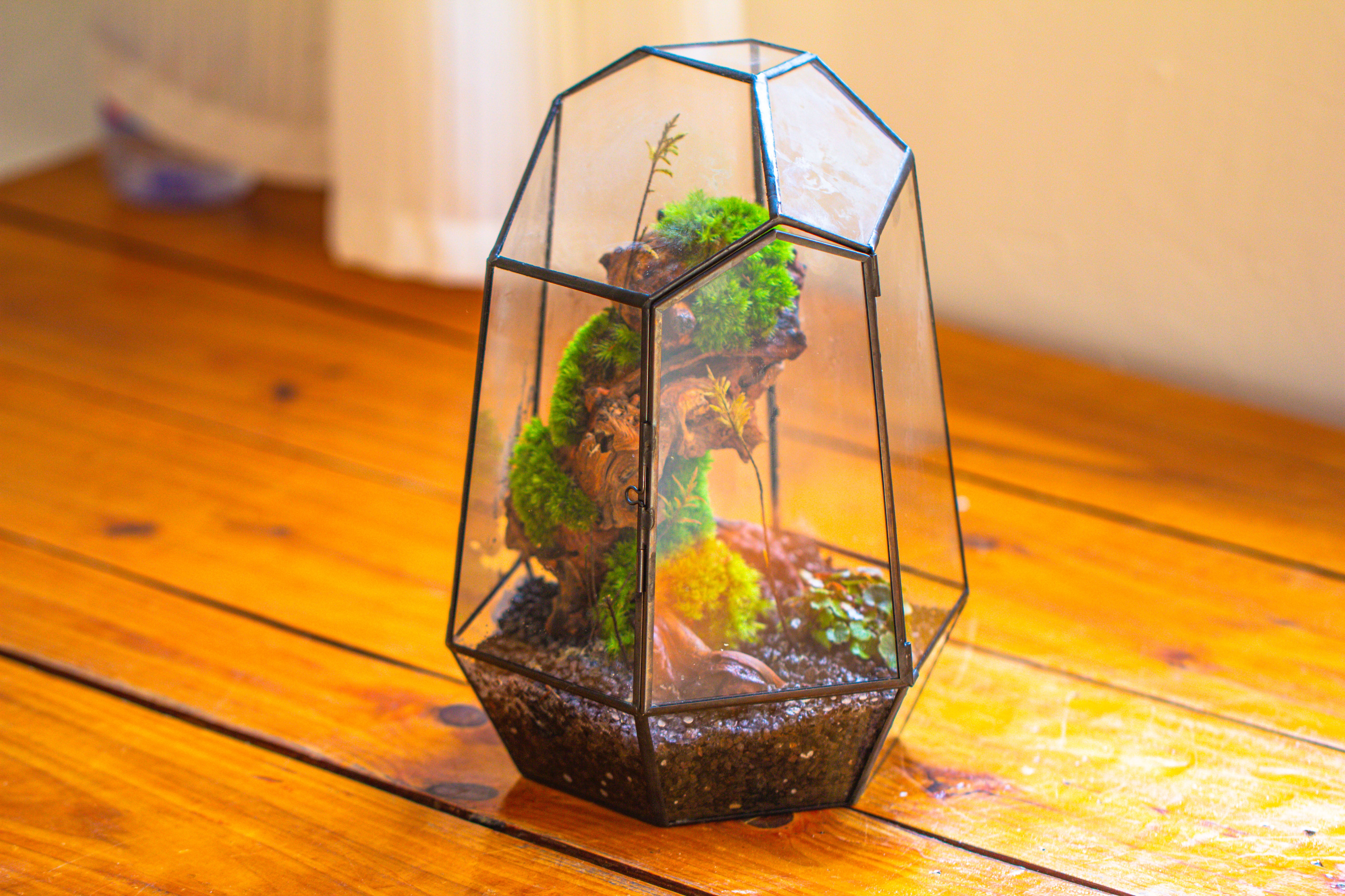 NCYP Large Close Geometric Glass Terrarium with Door, Tin Sealed Irregular Tall Planter for moss Flower Pot - NCYPgarden