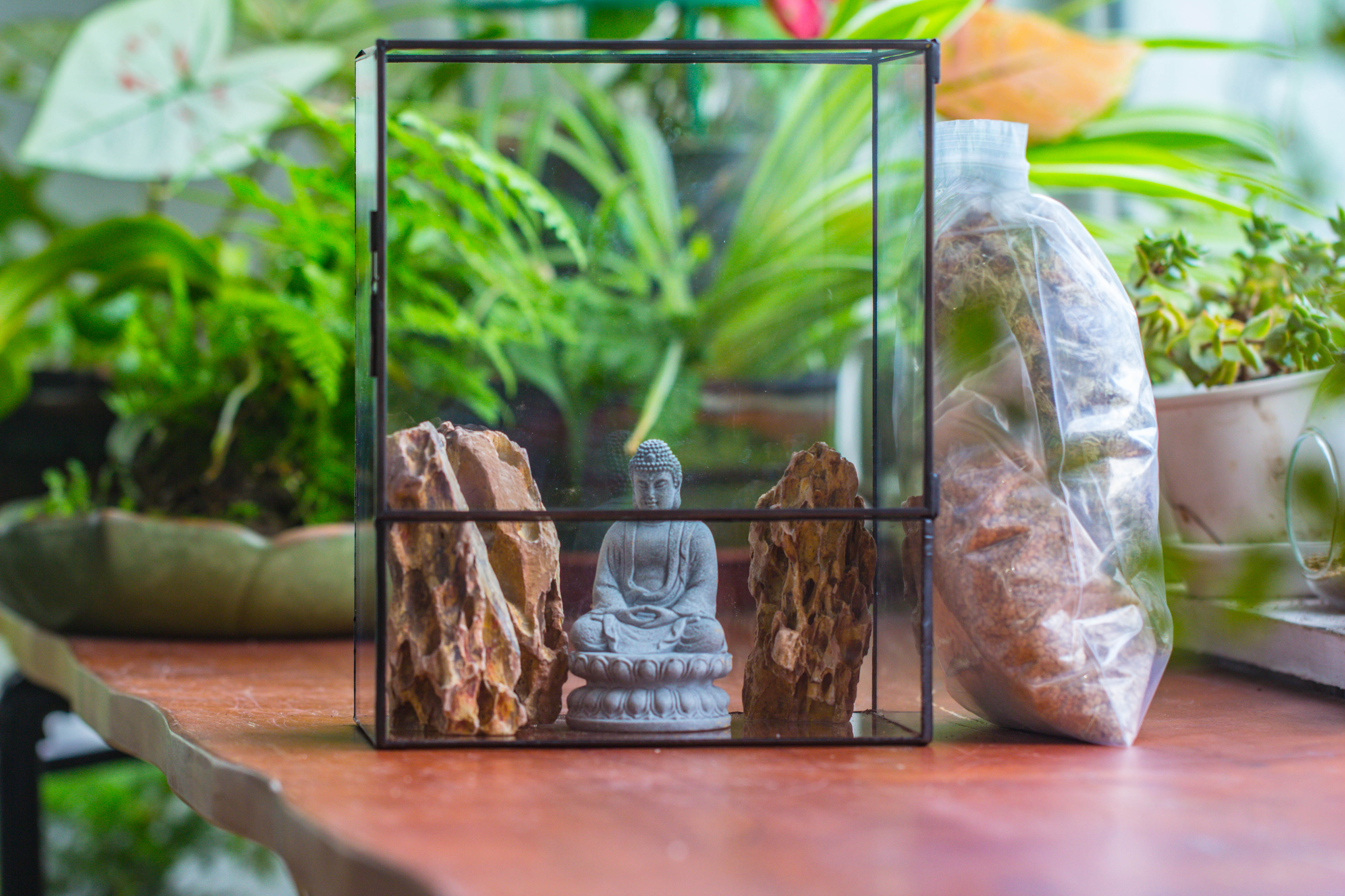 Close Geometric Glass Tin Terrarium , 8x10" and Buddha, rock, Micro Landscape Moss Terrarium Building DIY set No plants, Customizable - NCYPgarden