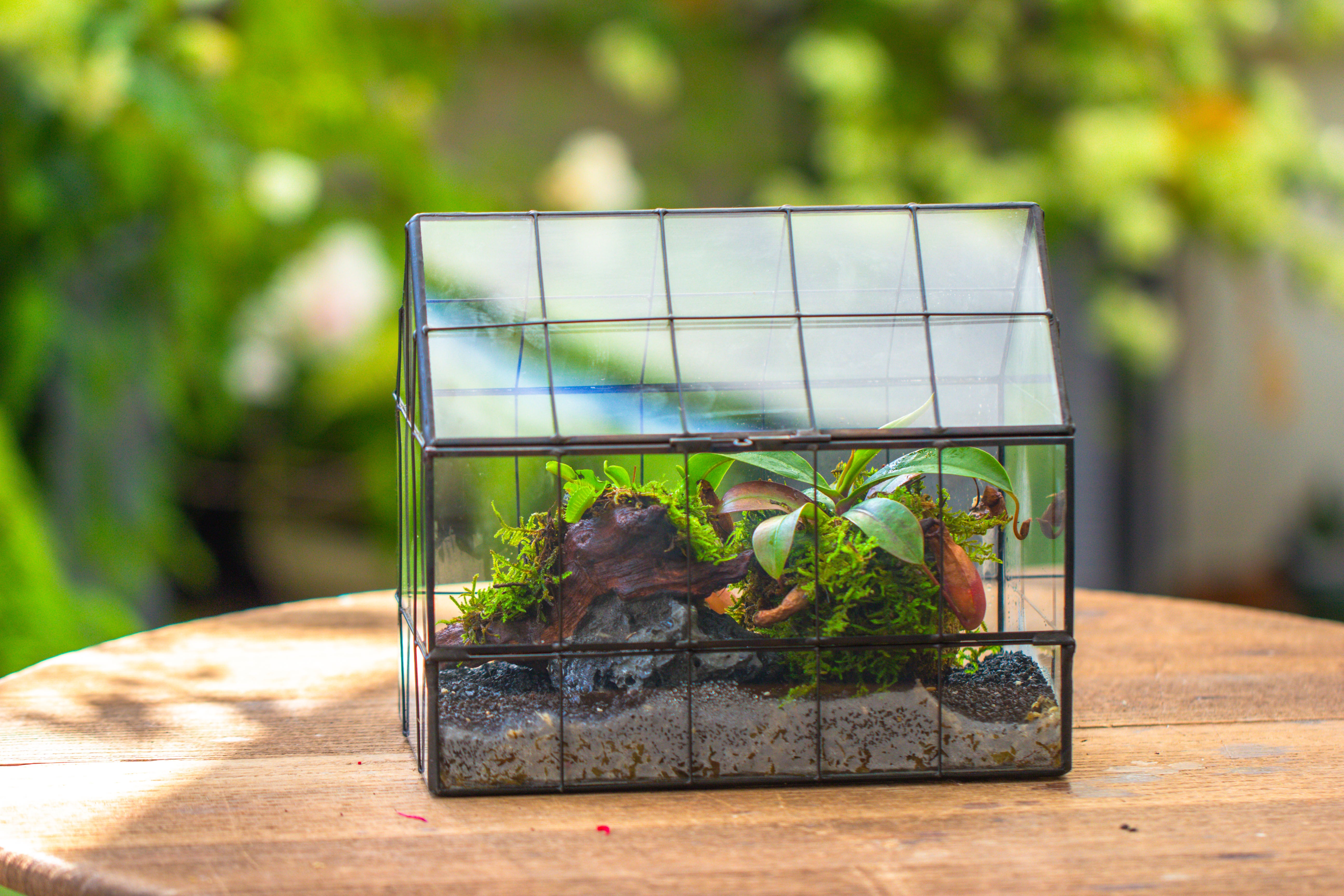 Vintge Greenhouse inspired tin and glass geometric Terrarium, side door, Close, for moss, fern, shade plants, micro landscape - NCYPgarden