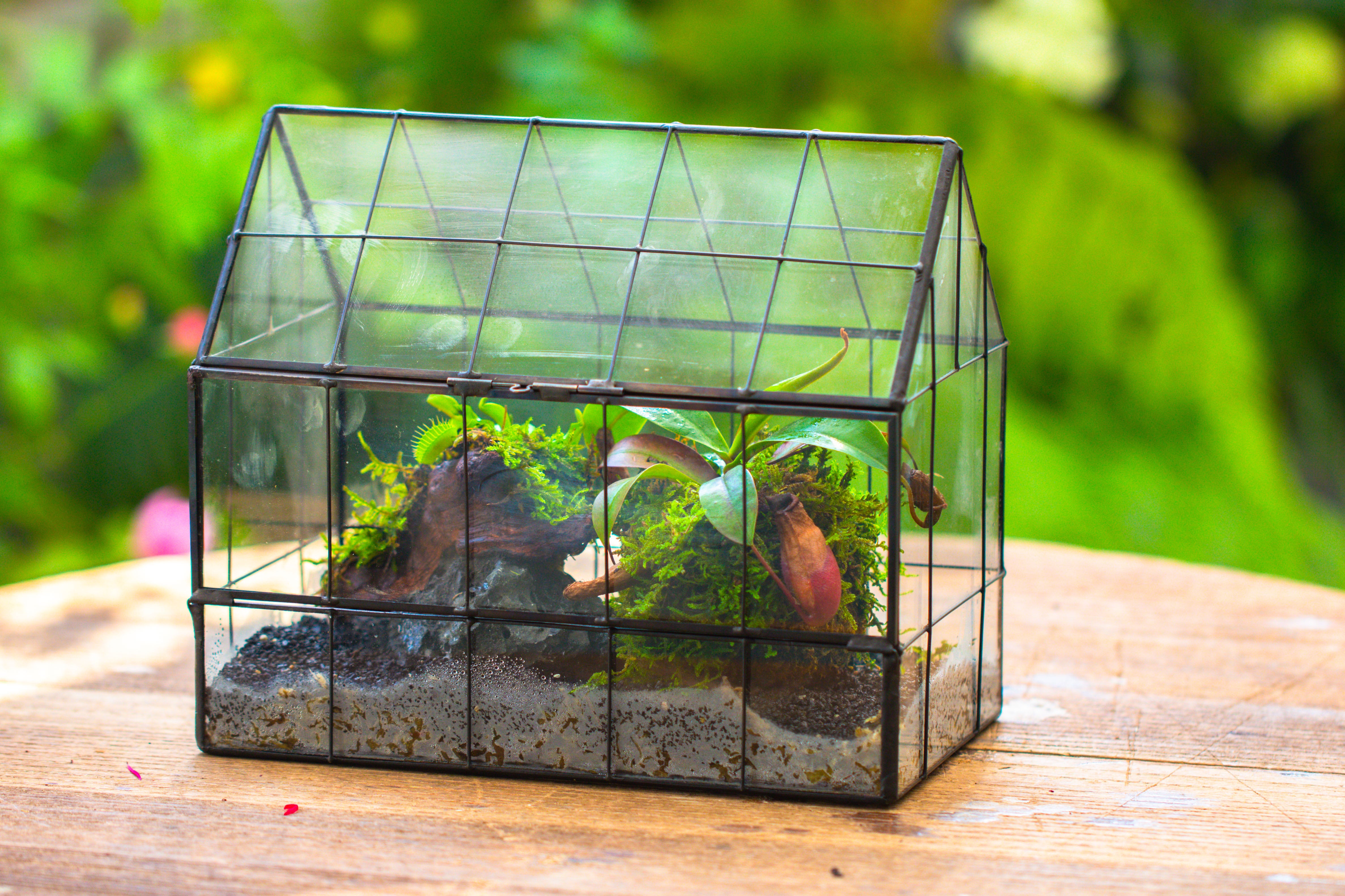 Vintge Greenhouse inspired tin and glass geometric Terrarium, side door, Close, for moss, fern, shade plants, micro landscape - NCYPgarden