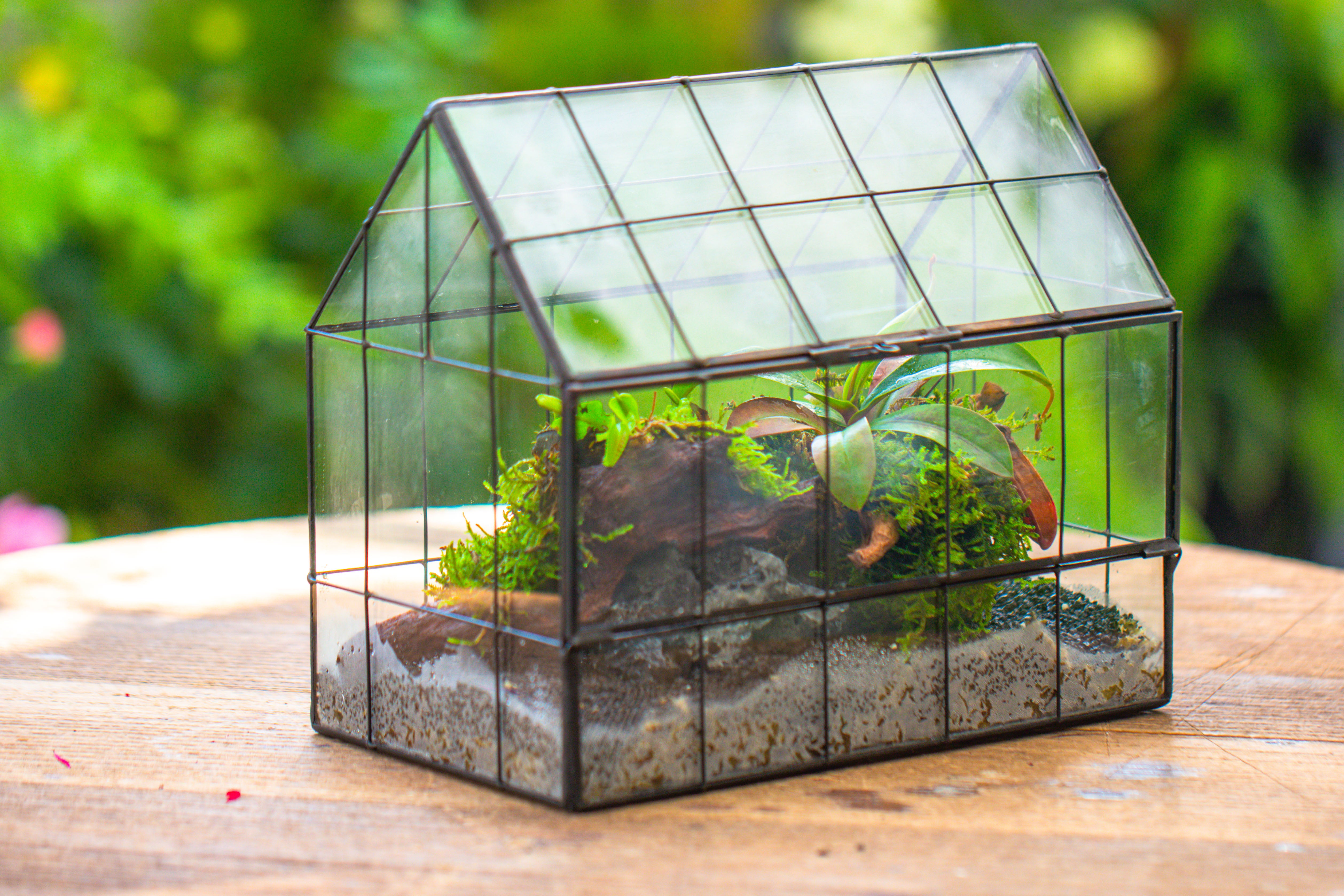 Vintge Greenhouse inspired tin and glass geometric Terrarium, side door, Close, for moss, fern, shade plants, micro landscape - NCYPgarden