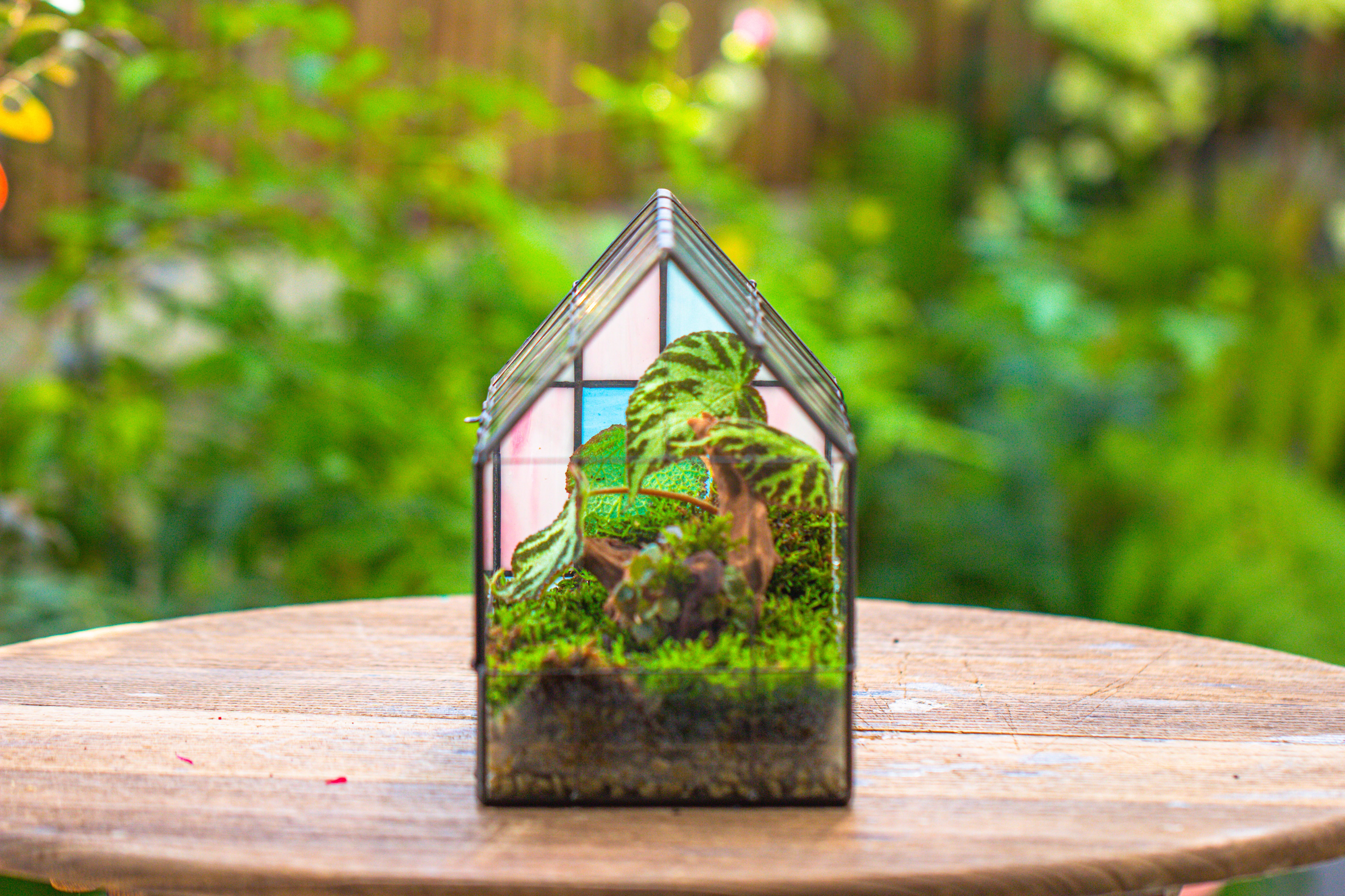 Blue Pink White  Stained Glass House Shape Geometric Terrarium, Vintage Style, Close - NCYPgarden