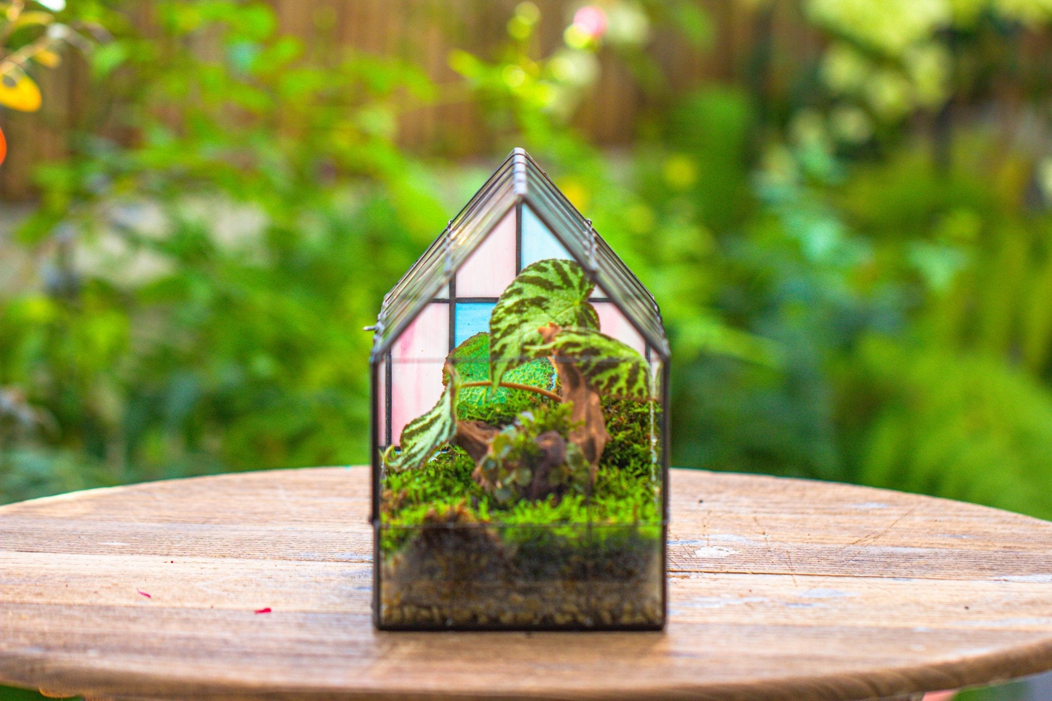 stained glass house plants Blue Pink White Stained Glass House Shape Geometric Terrarium, Vintage – NCYPgarden