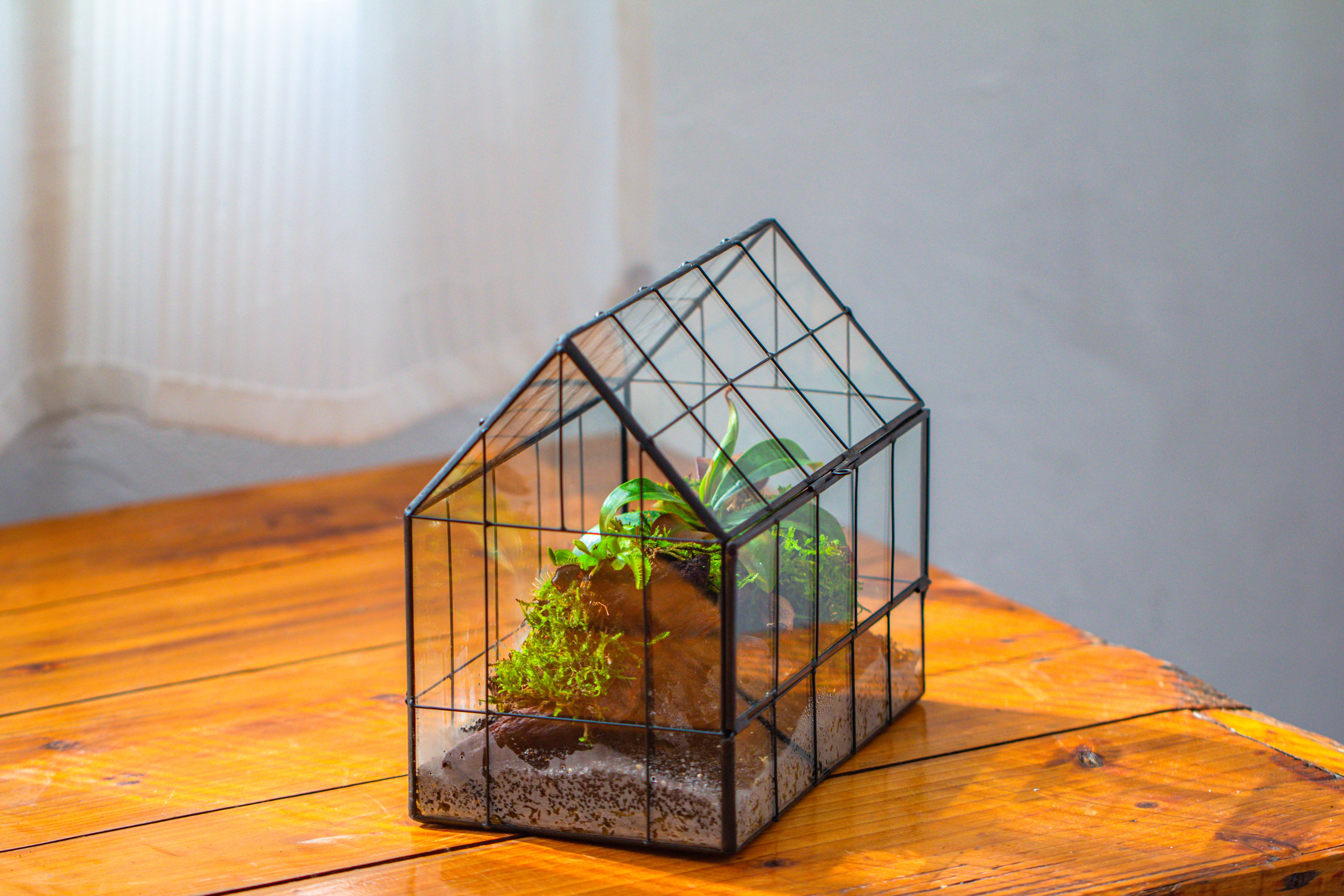 Vintge Greenhouse inspired tin and glass geometric Terrarium, side door, Close, for moss, fern, shade plants, micro landscape - NCYPgarden