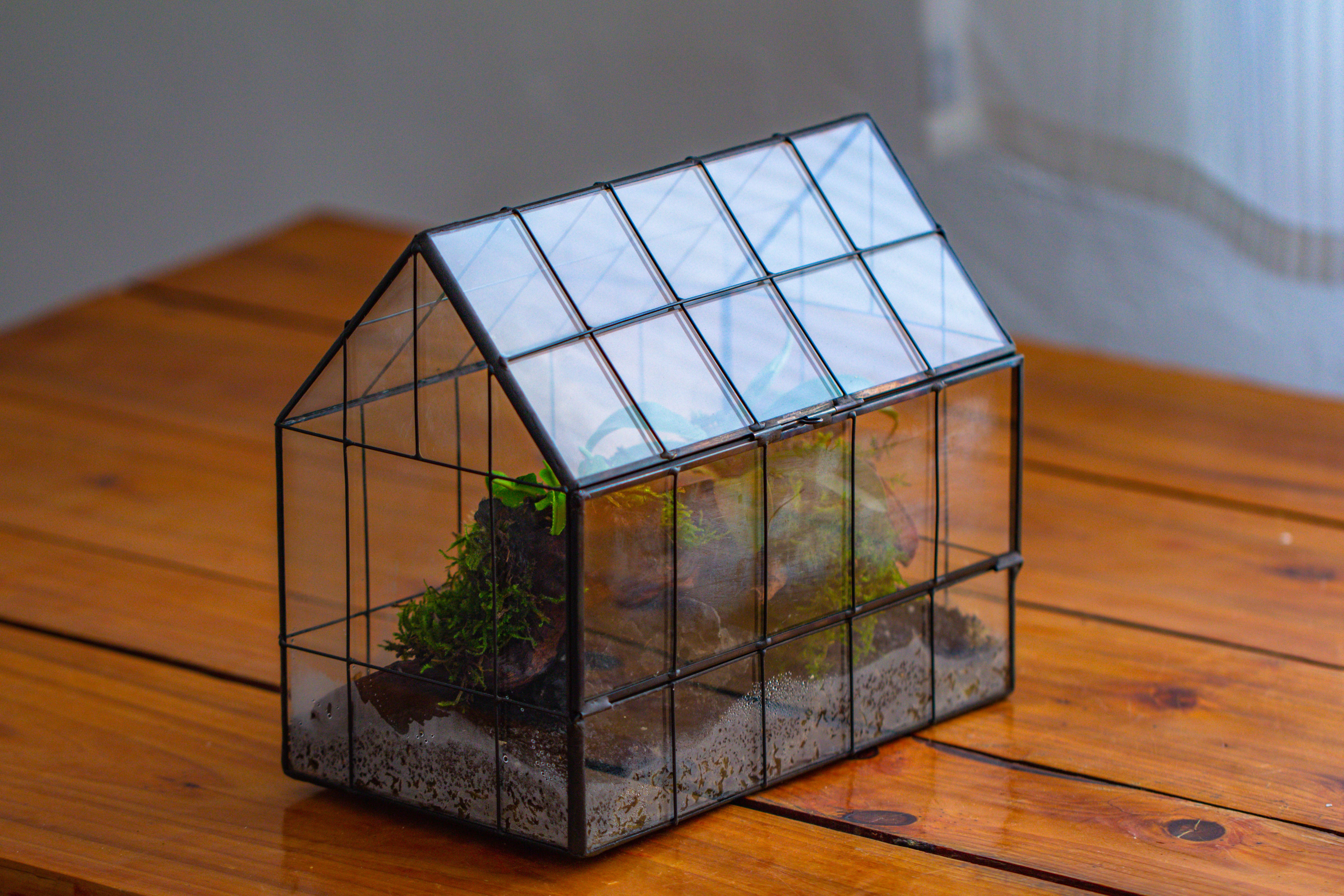 Vintge Greenhouse inspired tin and glass geometric Terrarium, side door, Close, for moss, fern, shade plants, micro landscape - NCYPgarden
