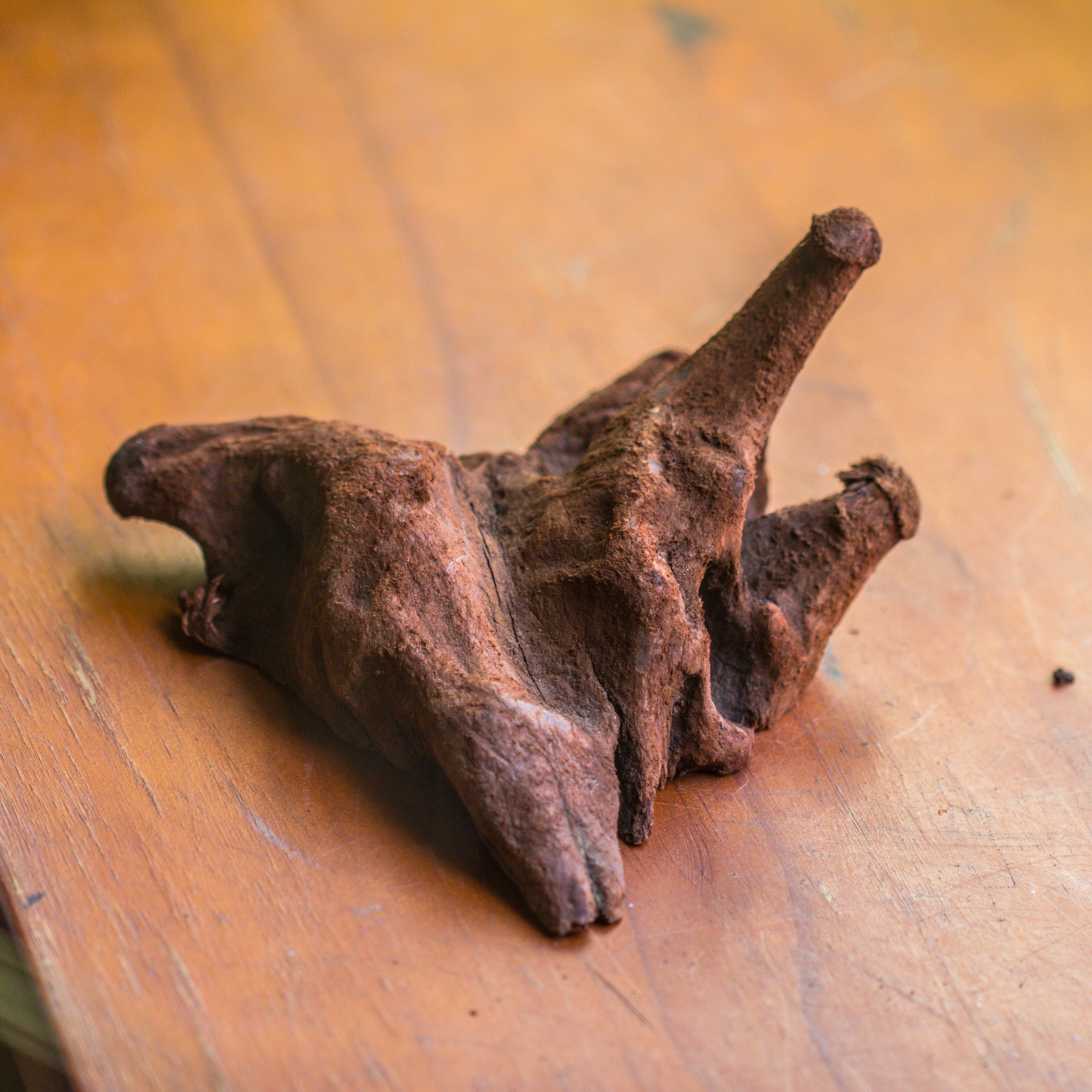 Copy of Natural driftwood for moss terrarium, miniature, micro landscape, unique  10-50, suitable for both live and preserved moss - NCYPgarden