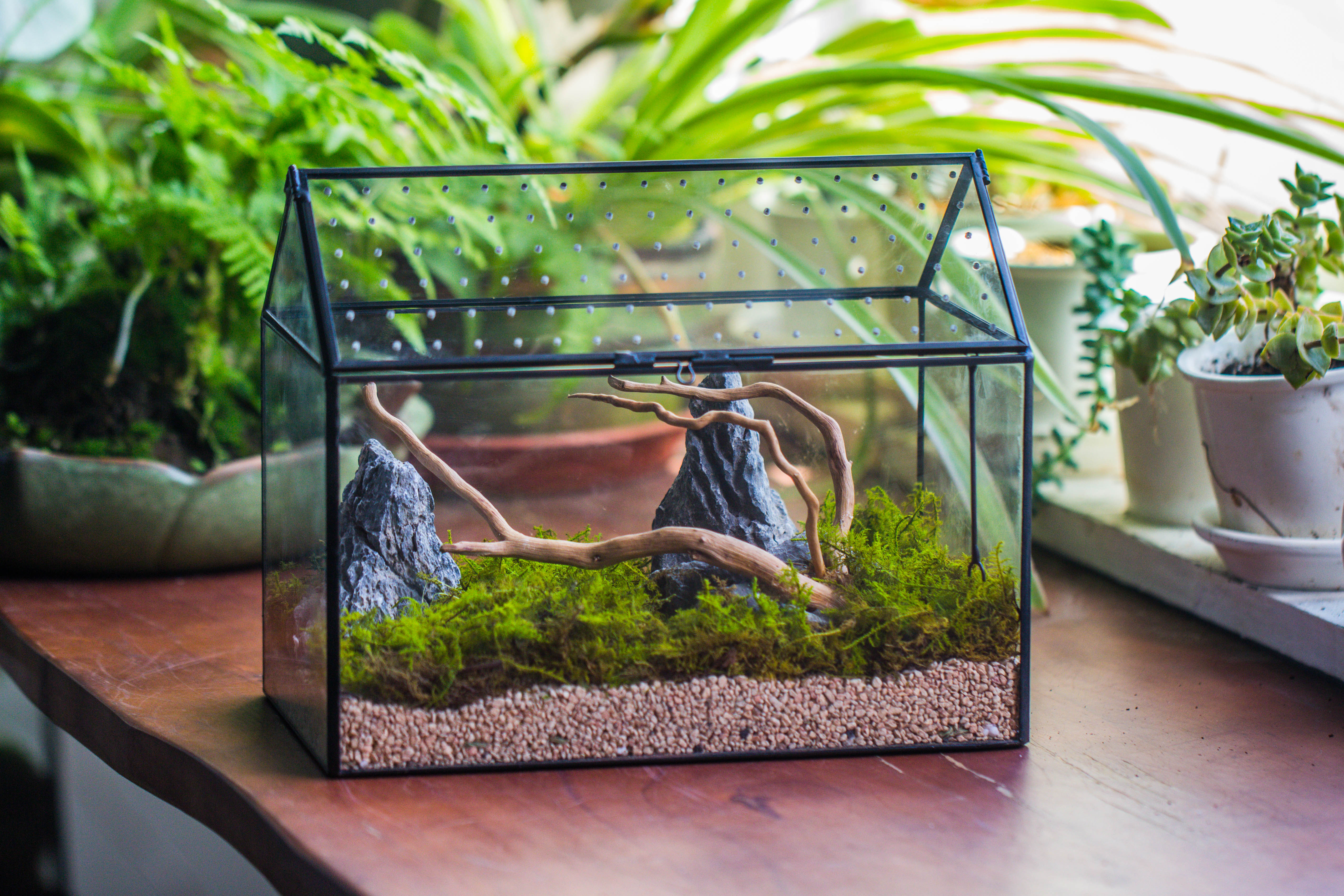 Handmade Close House-shaped Glass Terrarium Enclosure, with Acrylic Mesh Vent, for Jumping Spider, Snail Habitat, Terrarium Only - NCYPgarden