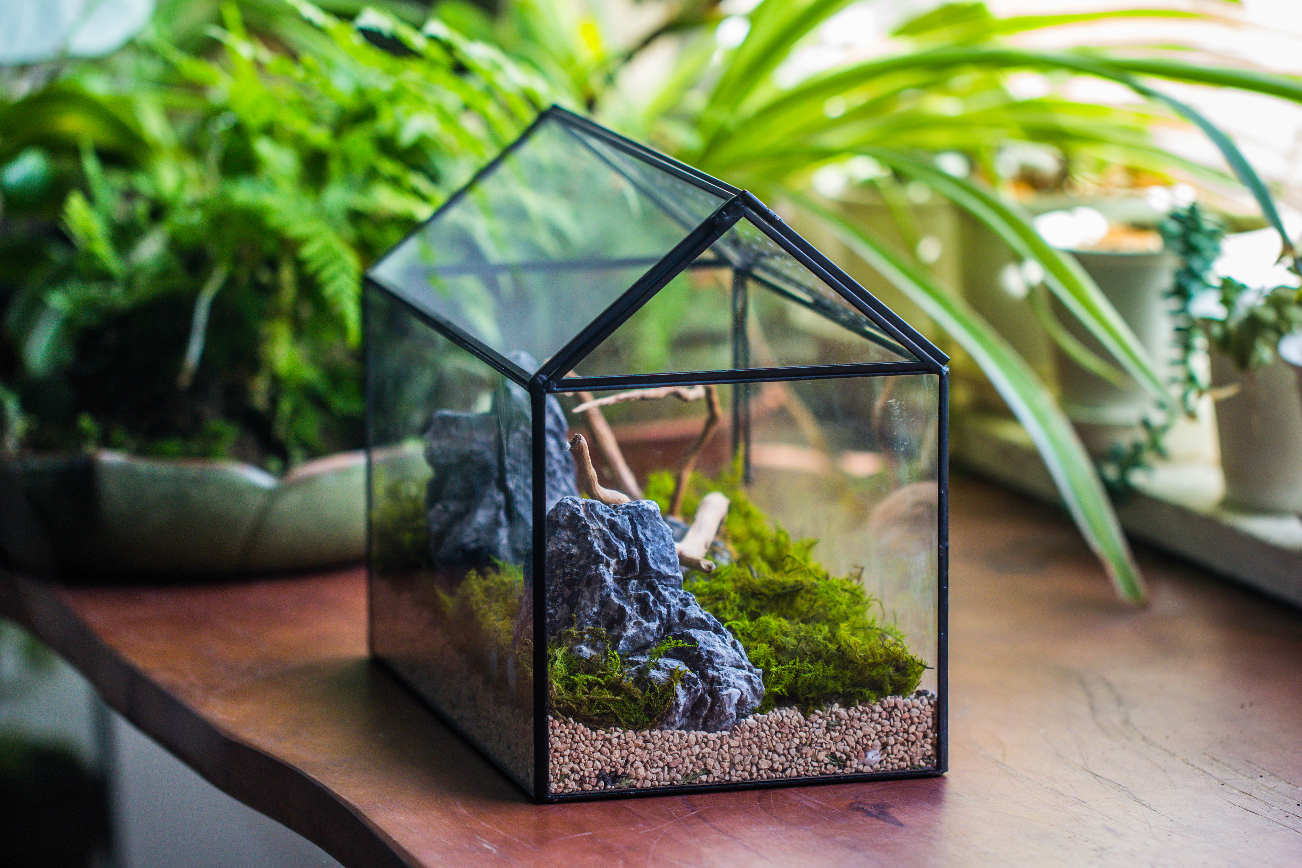 Handmade Close House-shaped Glass Terrarium Enclosure, with Acrylic Mesh Vent, for Jumping Spider, Snail Habitat, Terrarium Only - NCYPgarden
