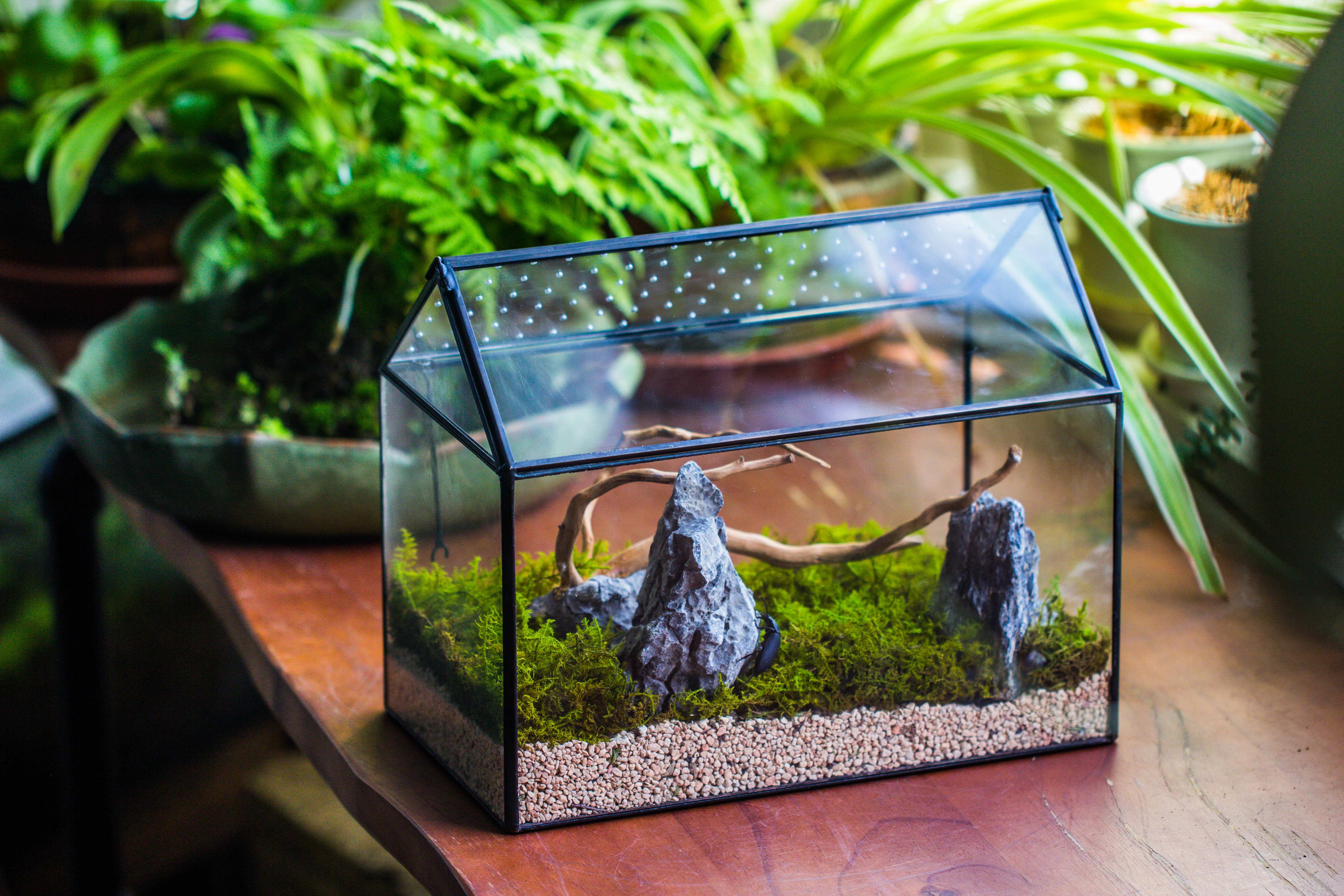 Handmade Close House-shaped Glass Terrarium Enclosure, with Acrylic Mesh Vent, for Jumping Spider, Snail Habitat, Terrarium Only - NCYPgarden
