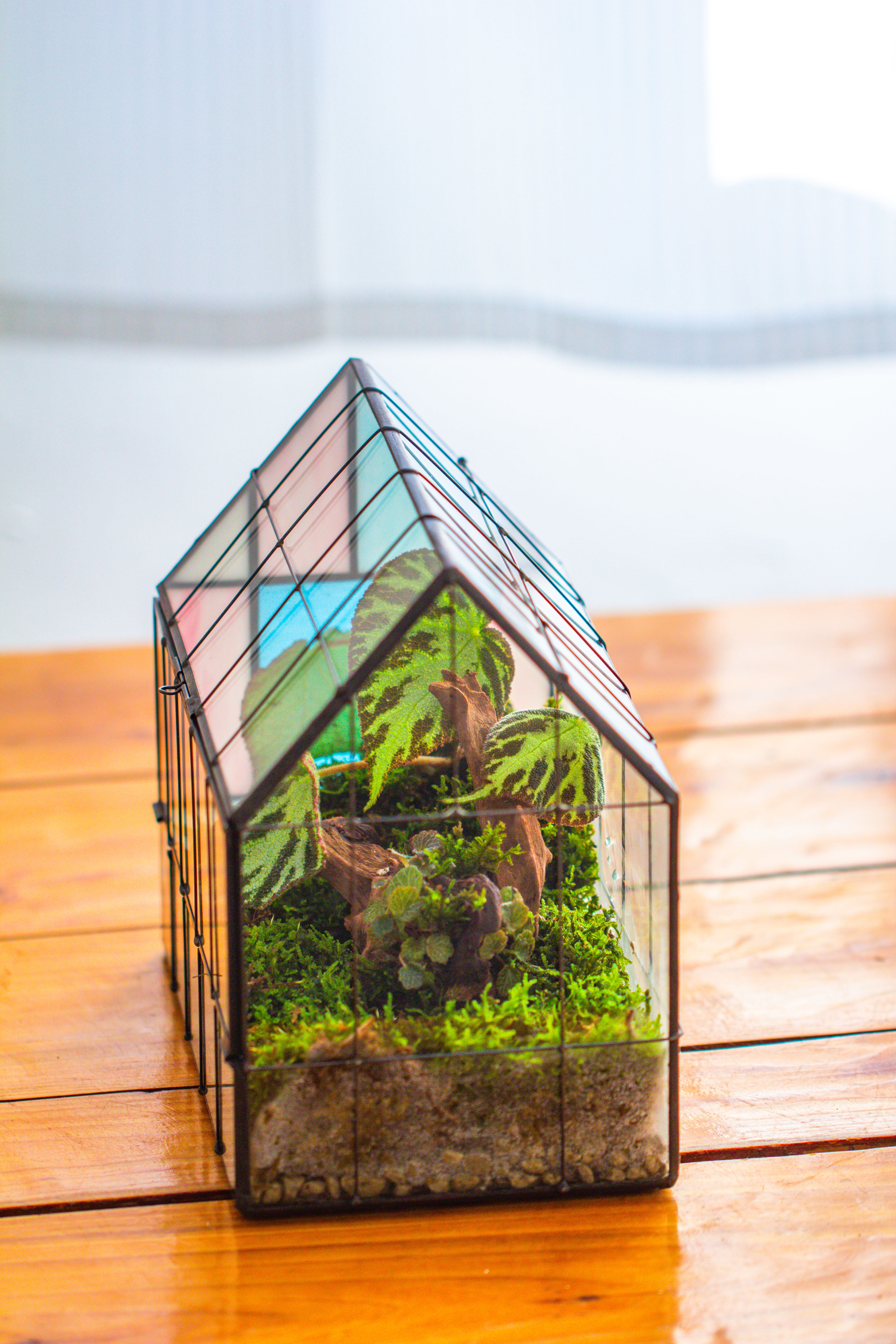Blue Pink White  Stained Glass House Shape Geometric Terrarium, Vintage Style, Close - NCYPgarden