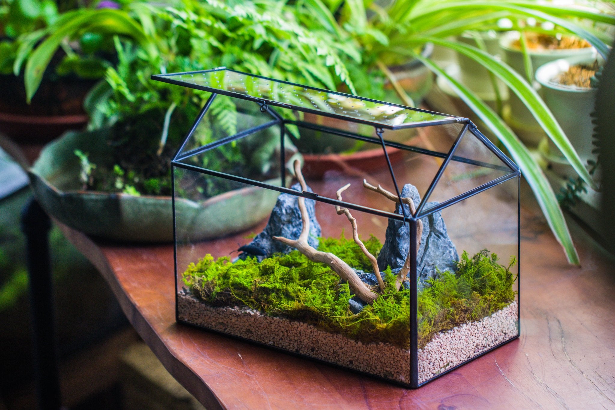 Basic Terrarium Handmade Close House-shaped Glass Terrarium Enclosure, with Acrylic Me ...