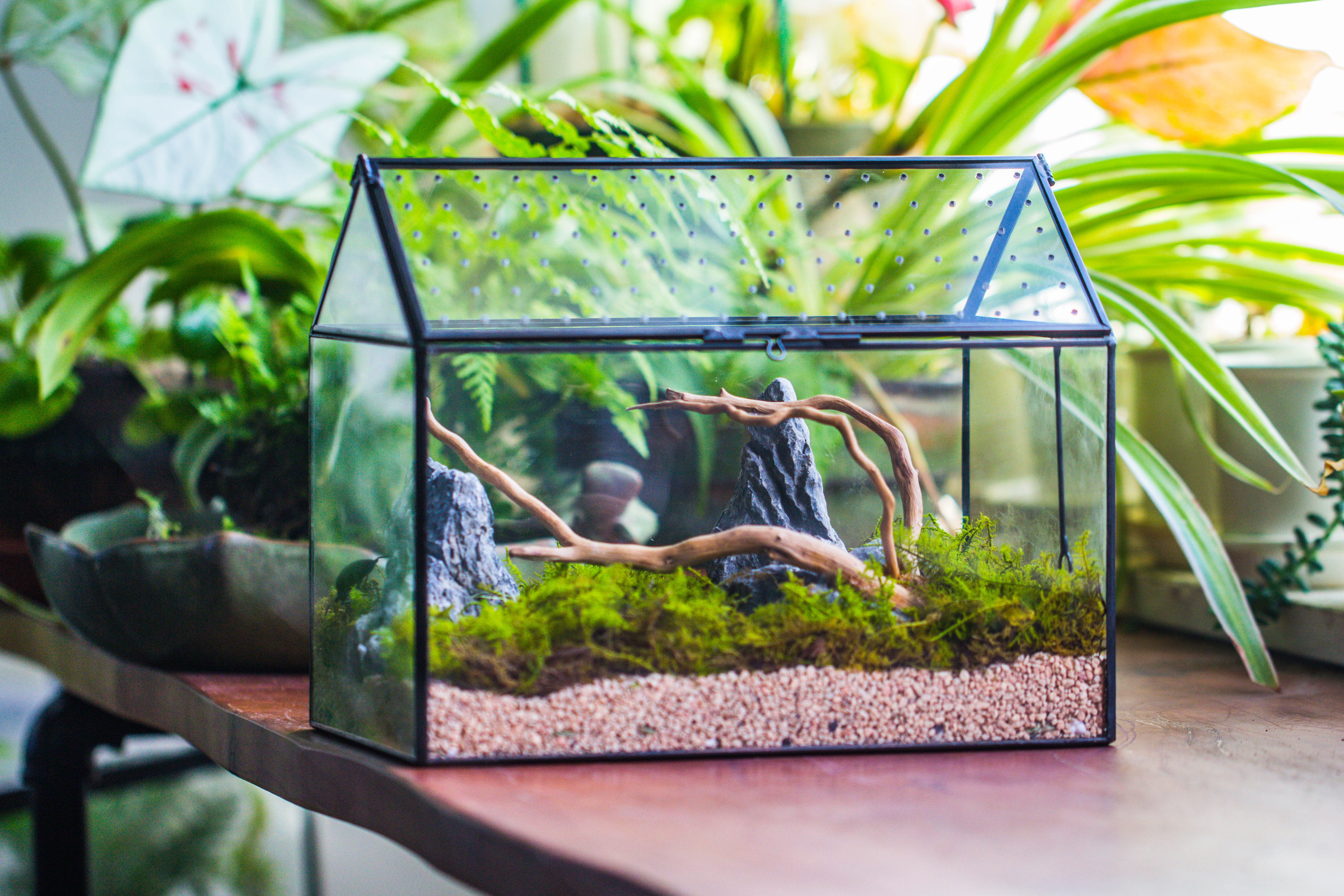 Handmade Close House-shaped Glass Terrarium Enclosure, with Acrylic Mesh Vent, for Jumping Spider, Snail Habitat, Terrarium Only - NCYPgarden