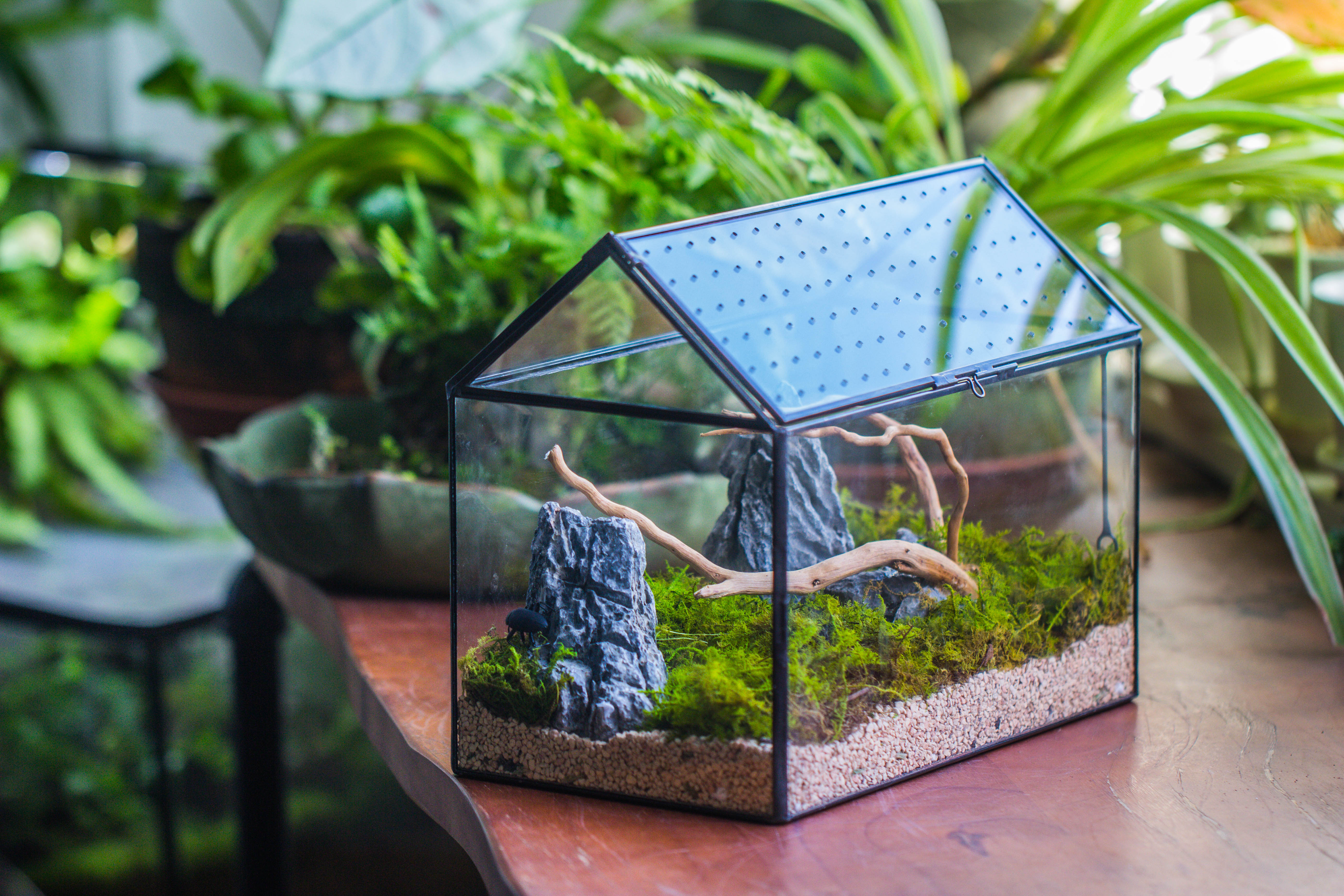 Handmade Close House-shaped Glass Terrarium Enclosure, with Acrylic Mesh Vent, for Jumping Spider, Snail Habitat, Terrarium Only - NCYPgarden
