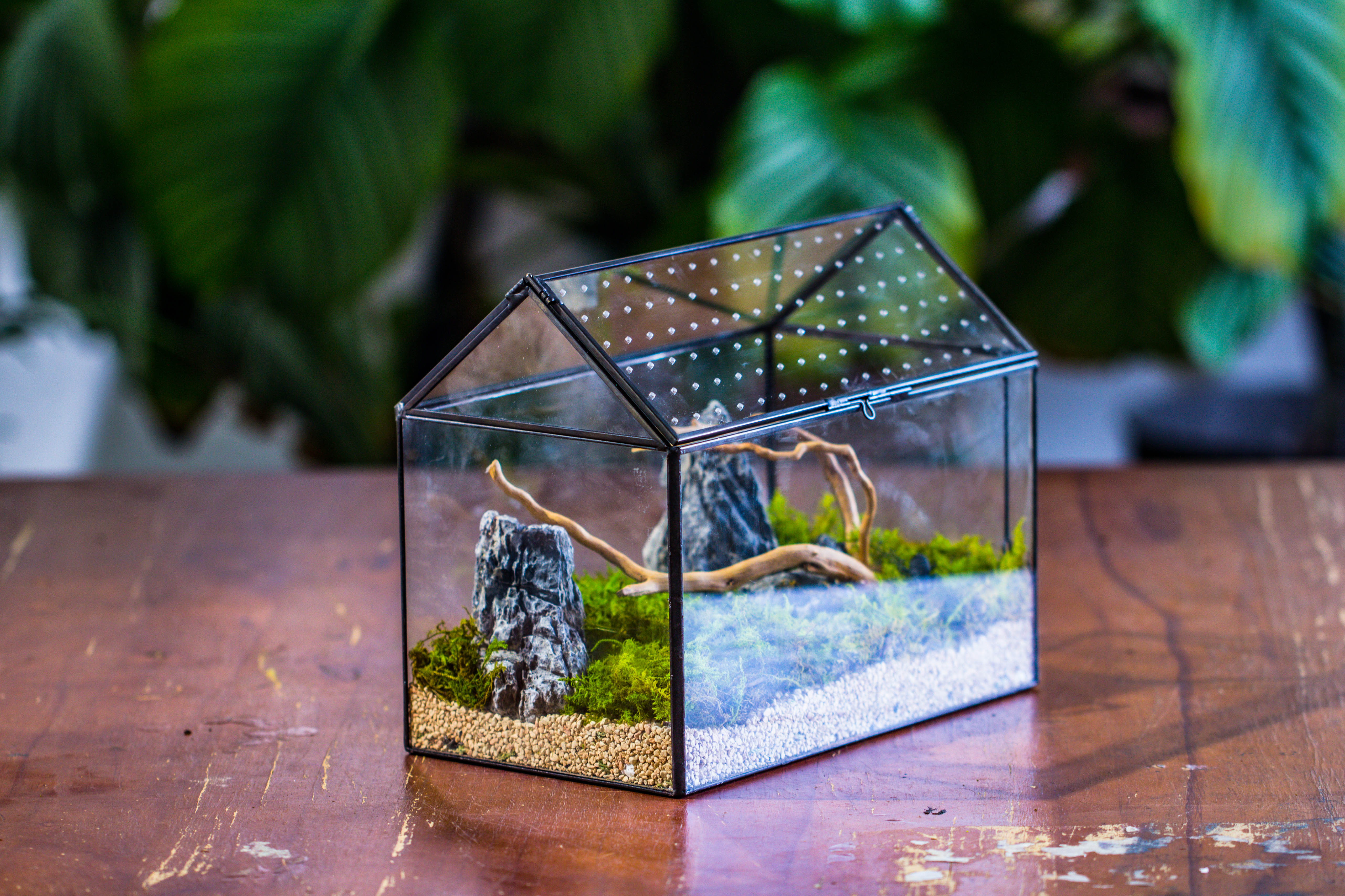 Handmade Close House-shaped Glass Terrarium Enclosure, with Acrylic Mesh Vent, for Jumping Spider, Snail Habitat, Terrarium Only - NCYPgarden