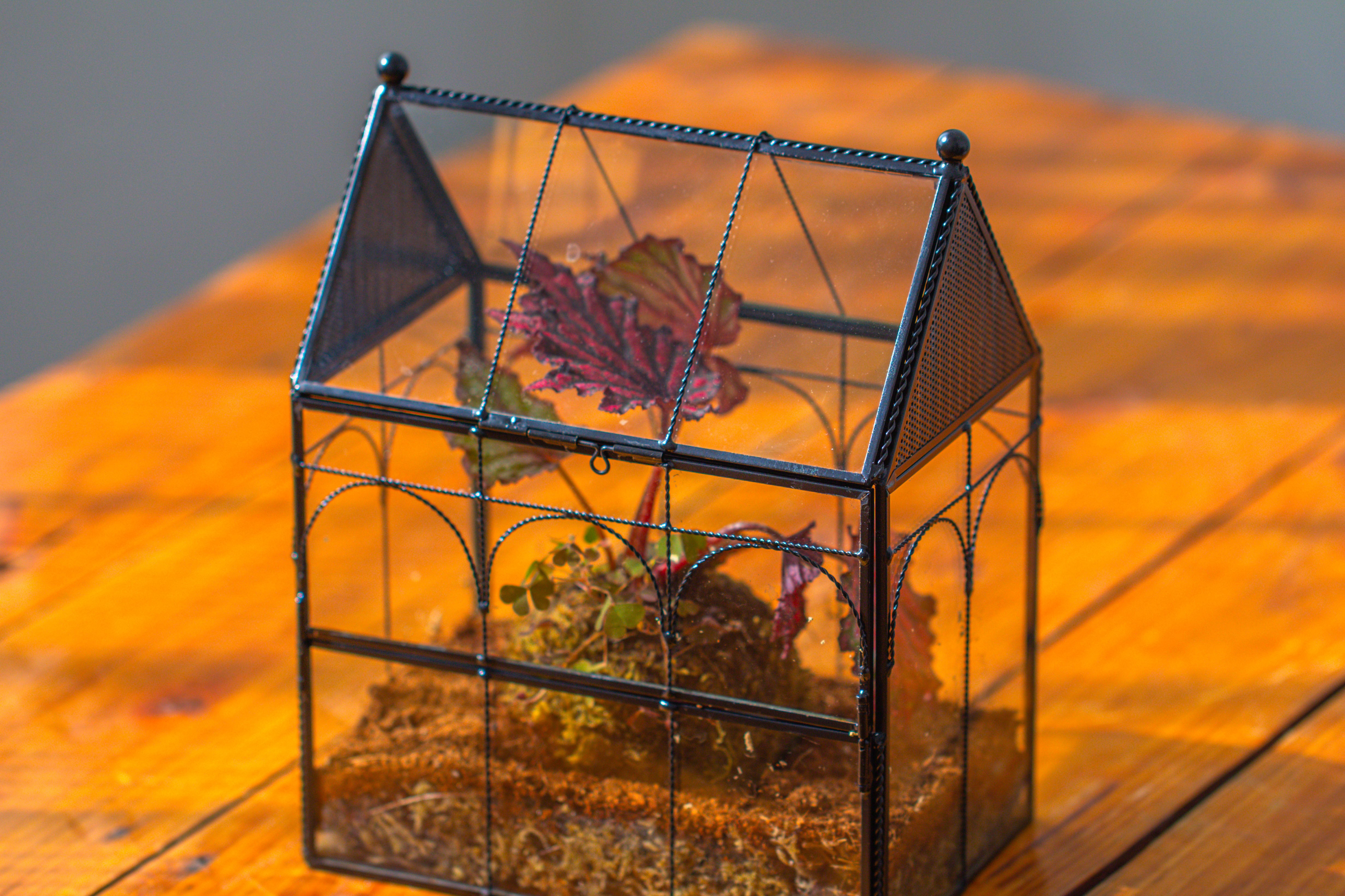 NCYP Vintage House Shape Glass Geometric Terrarium, with side door, with Mesh vent holes for small Insects Pet - NCYPgarden