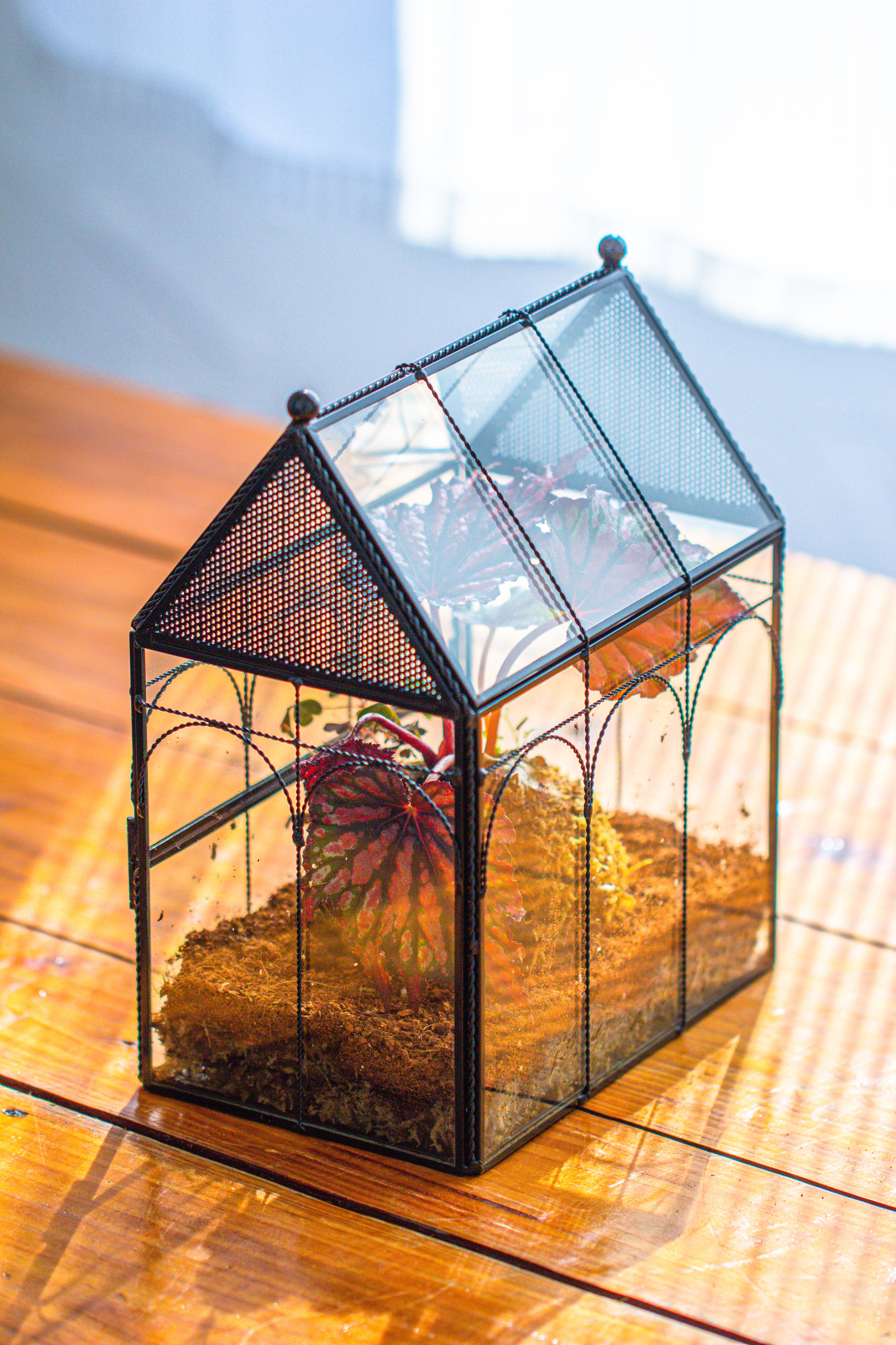 NCYP Vintage House Shape Glass Geometric Terrarium, with side door, with Mesh vent holes for small Insects Pet - NCYPgarden