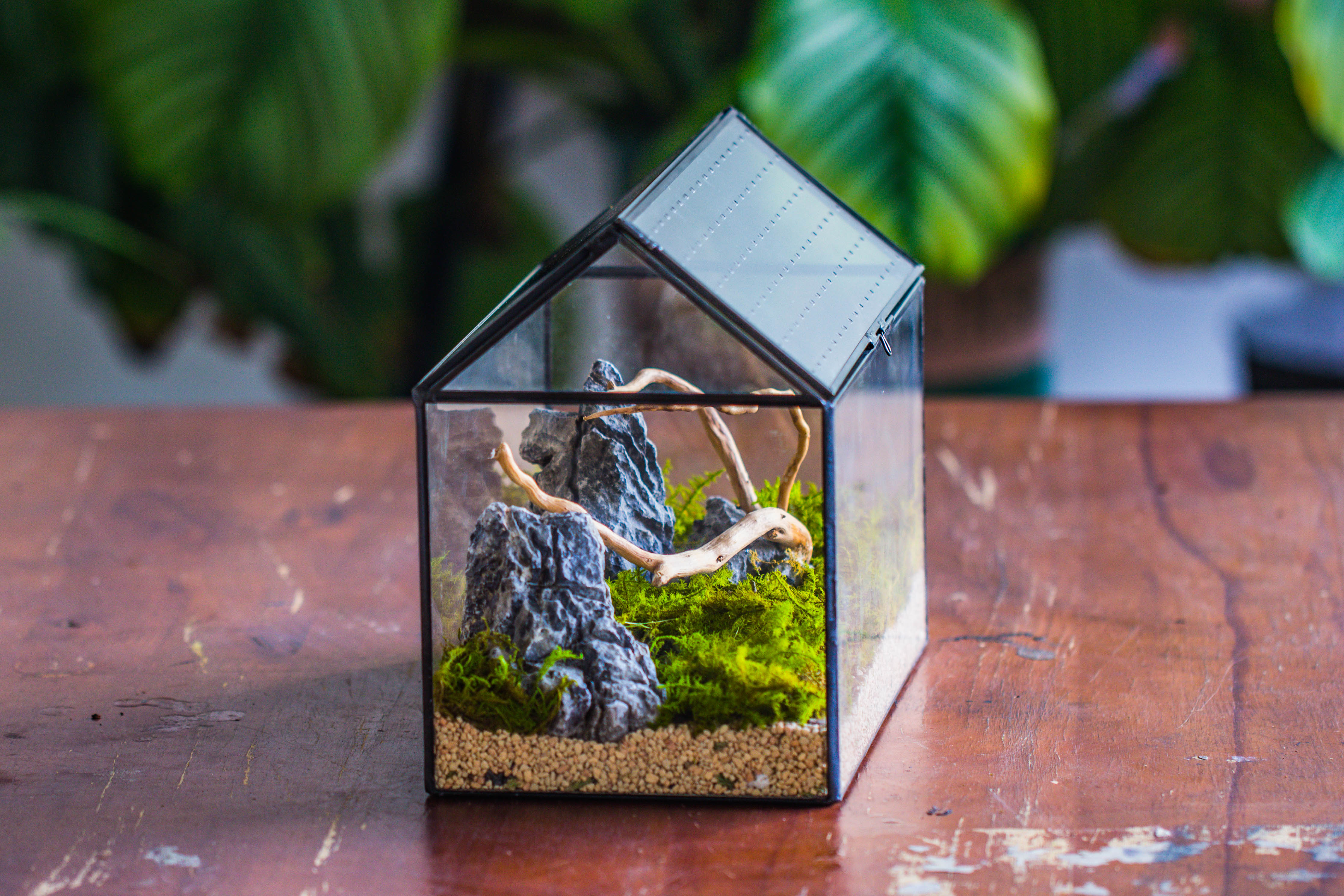 Handmade Close House-shaped Glass Terrarium Enclosure, with Acrylic Mesh Vent, for Jumping Spider, Snail Habitat, Terrarium Only - NCYPgarden