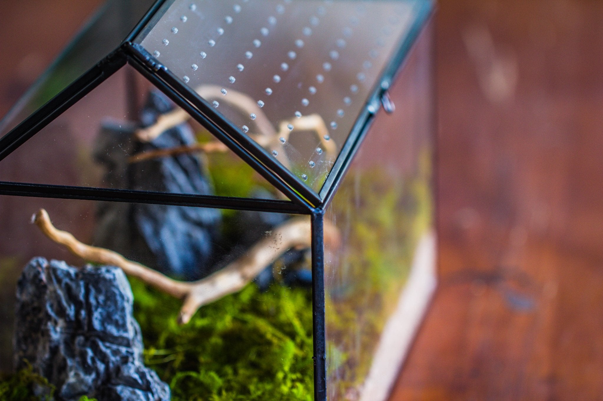Basic Terrarium Handmade Close House-shaped Glass Terrarium Enclosure, with Acrylic Me ...