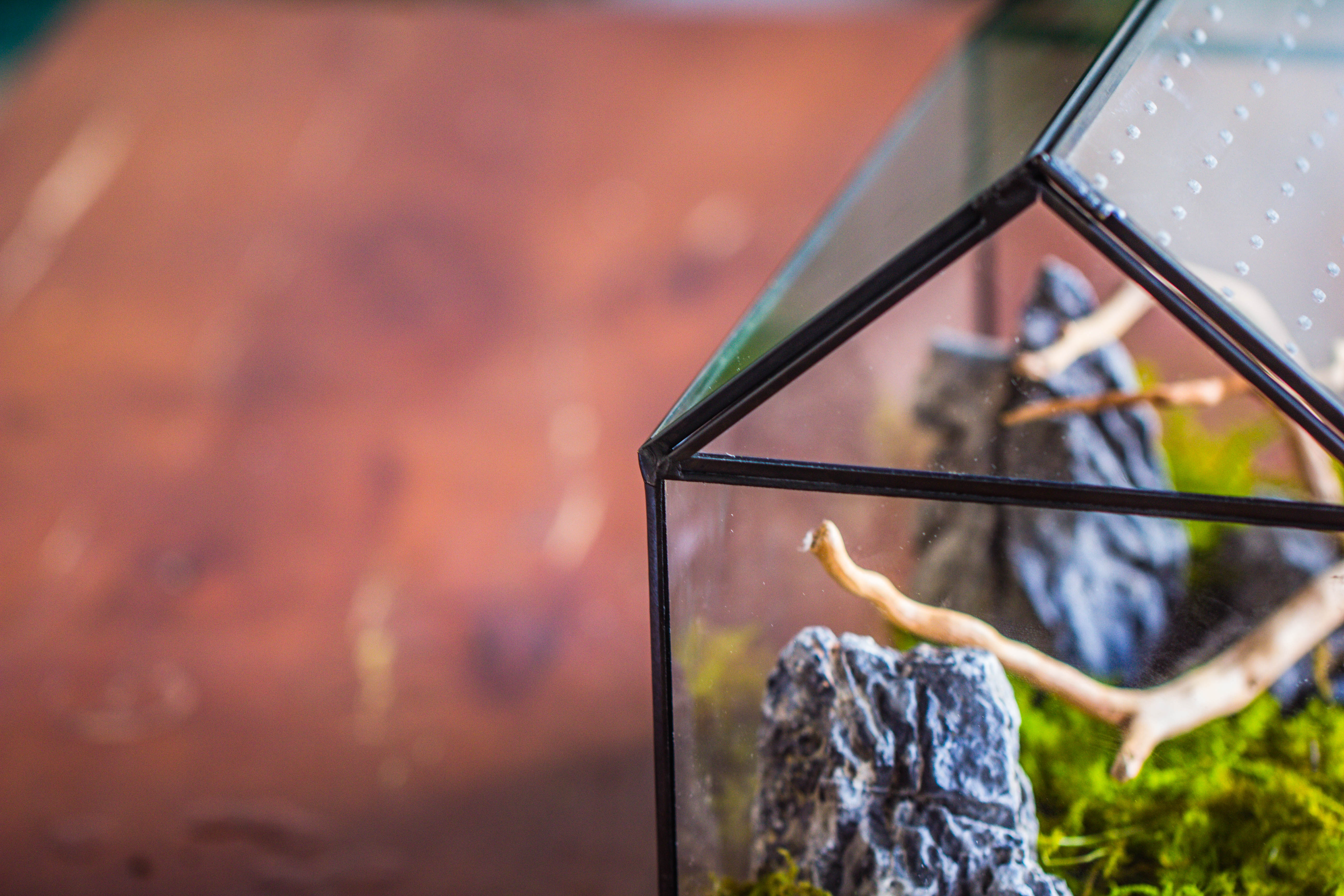 Handmade Close House-shaped Glass Terrarium Enclosure, with Acrylic Mesh Vent, for Jumping Spider, Snail Habitat, Terrarium Only - NCYPgarden