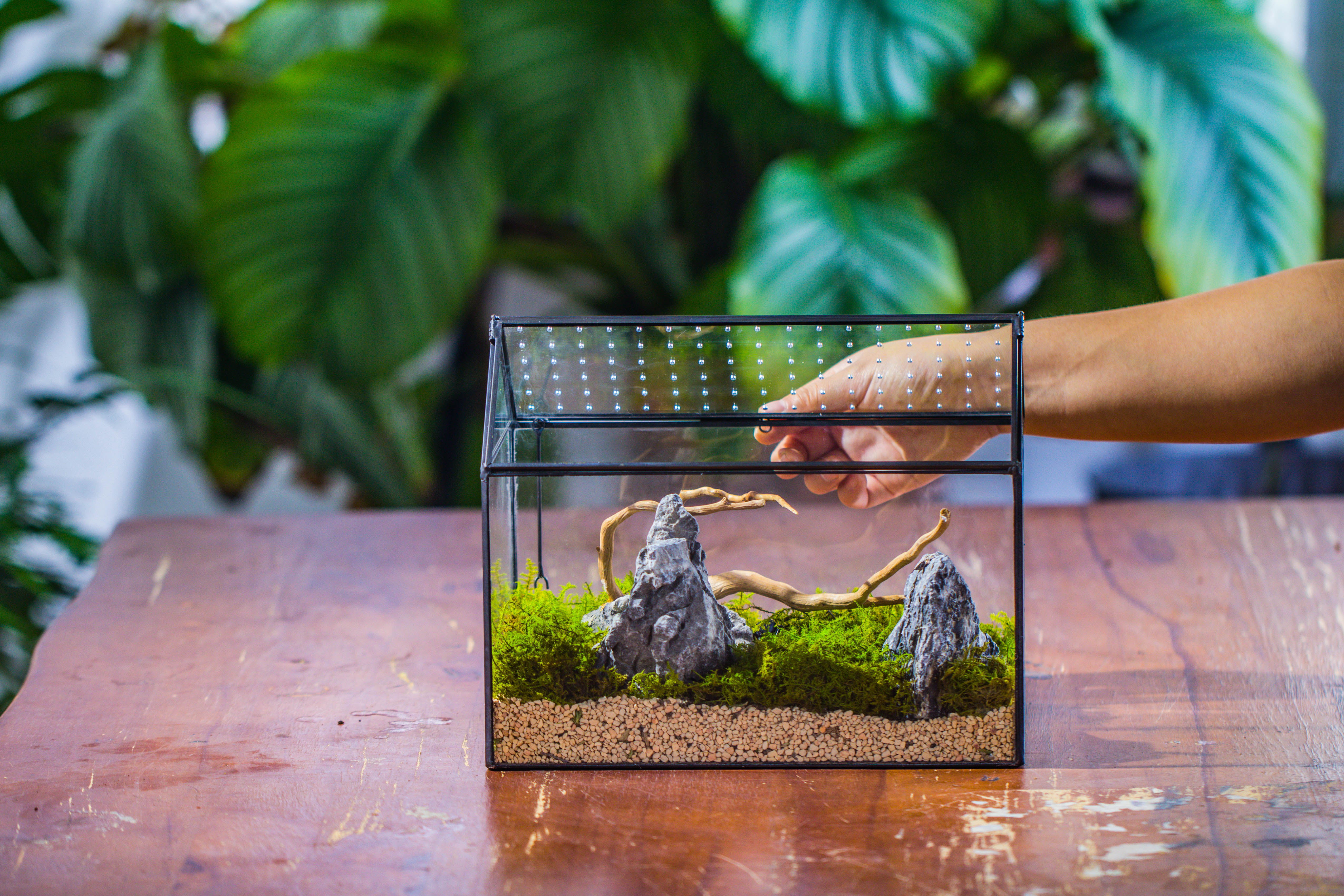 Handmade Close House-shaped Glass Terrarium Enclosure, with Acrylic Mesh Vent, for Jumping Spider, Snail Habitat, Terrarium Only - NCYPgarden