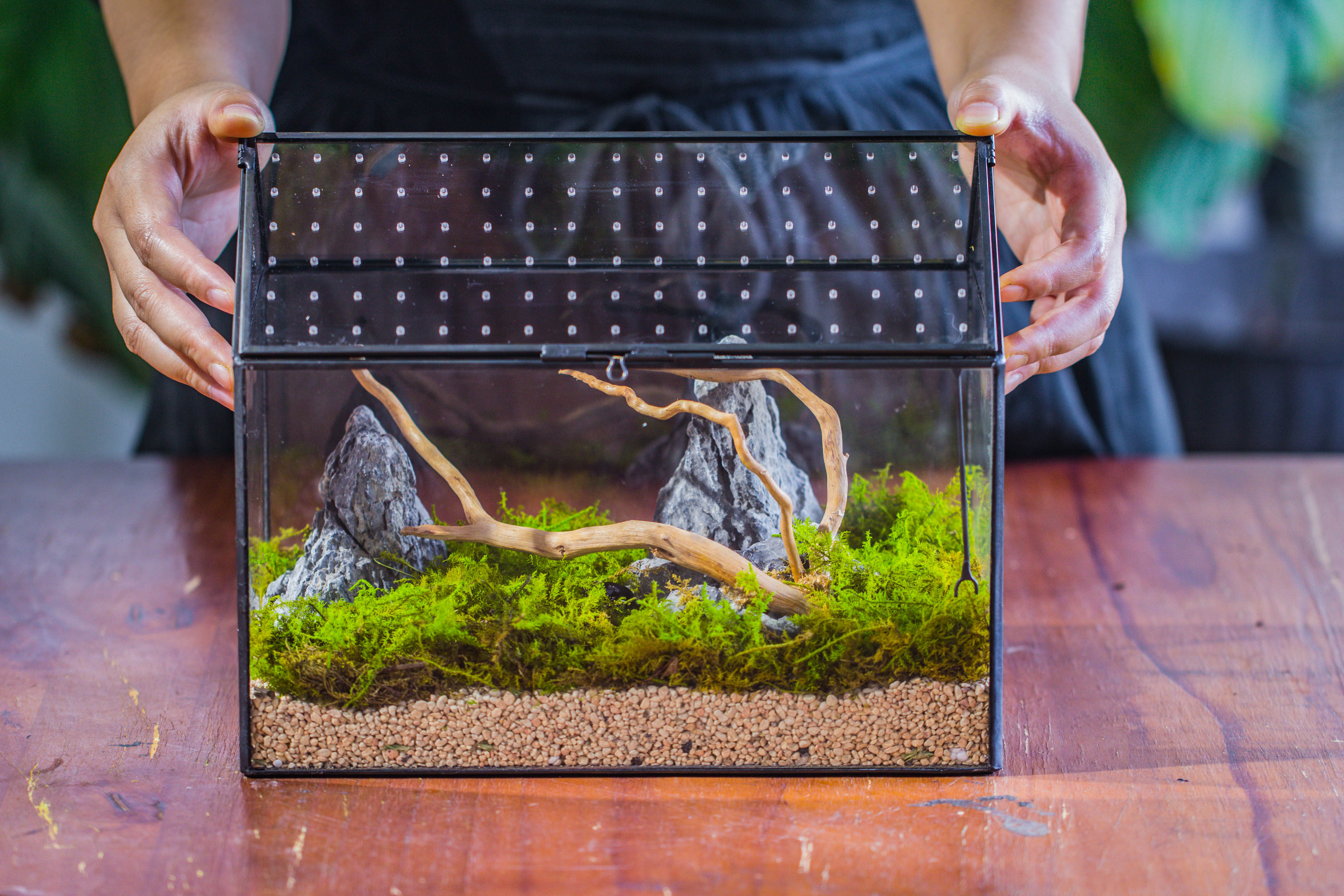 Handmade Close House-shaped Glass Terrarium Enclosure, with Acrylic Mesh Vent, for Jumping Spider, Snail Habitat, Terrarium Only - NCYPgarden
