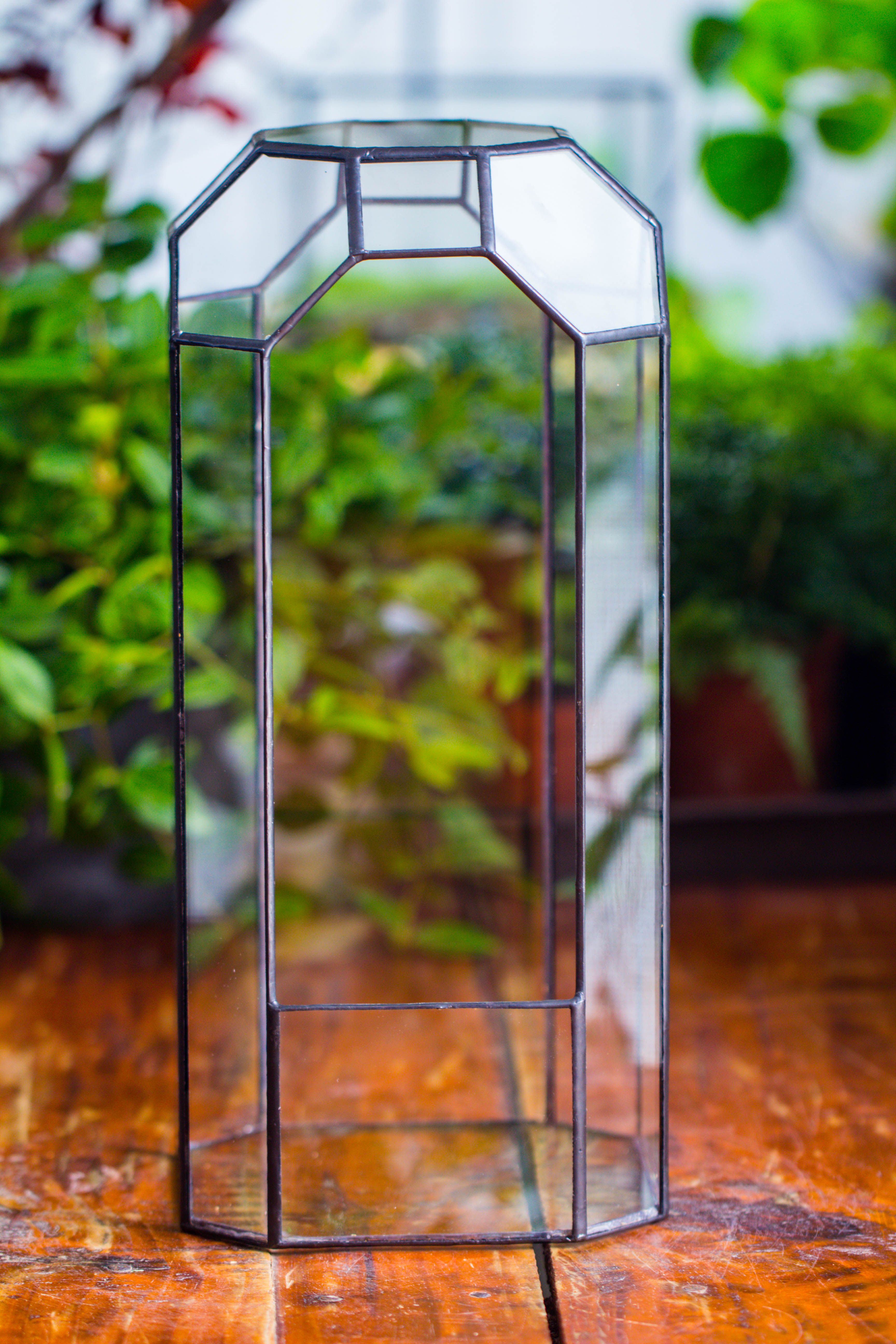 Vintage Tall Octagon Geometric Tin Glass Terrarium , 12.6" , open, suitable for tall plants, orchid, small begonia Pitcher, Micro landscape - NCYPgarden