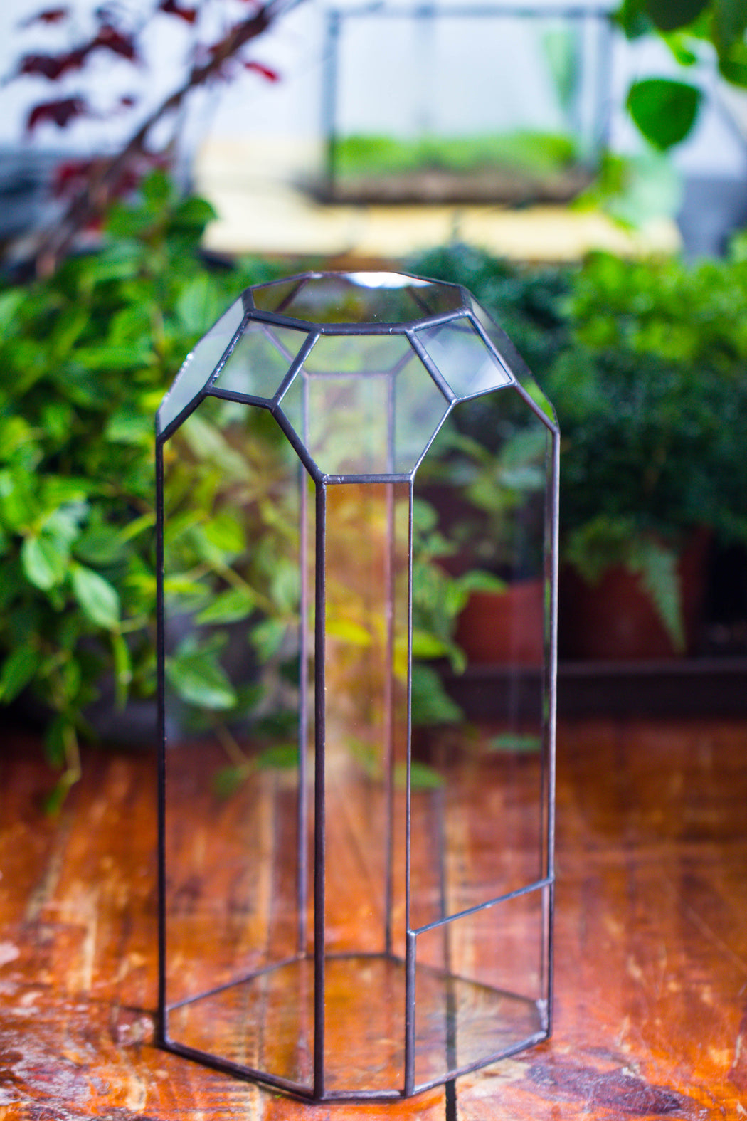 Vintage Tall Octagon Geometric Tin Glass Terrarium , 12.6" , open, suitable for tall plants, orchid, small begonia Pitcher, Micro landscape - NCYPgarden