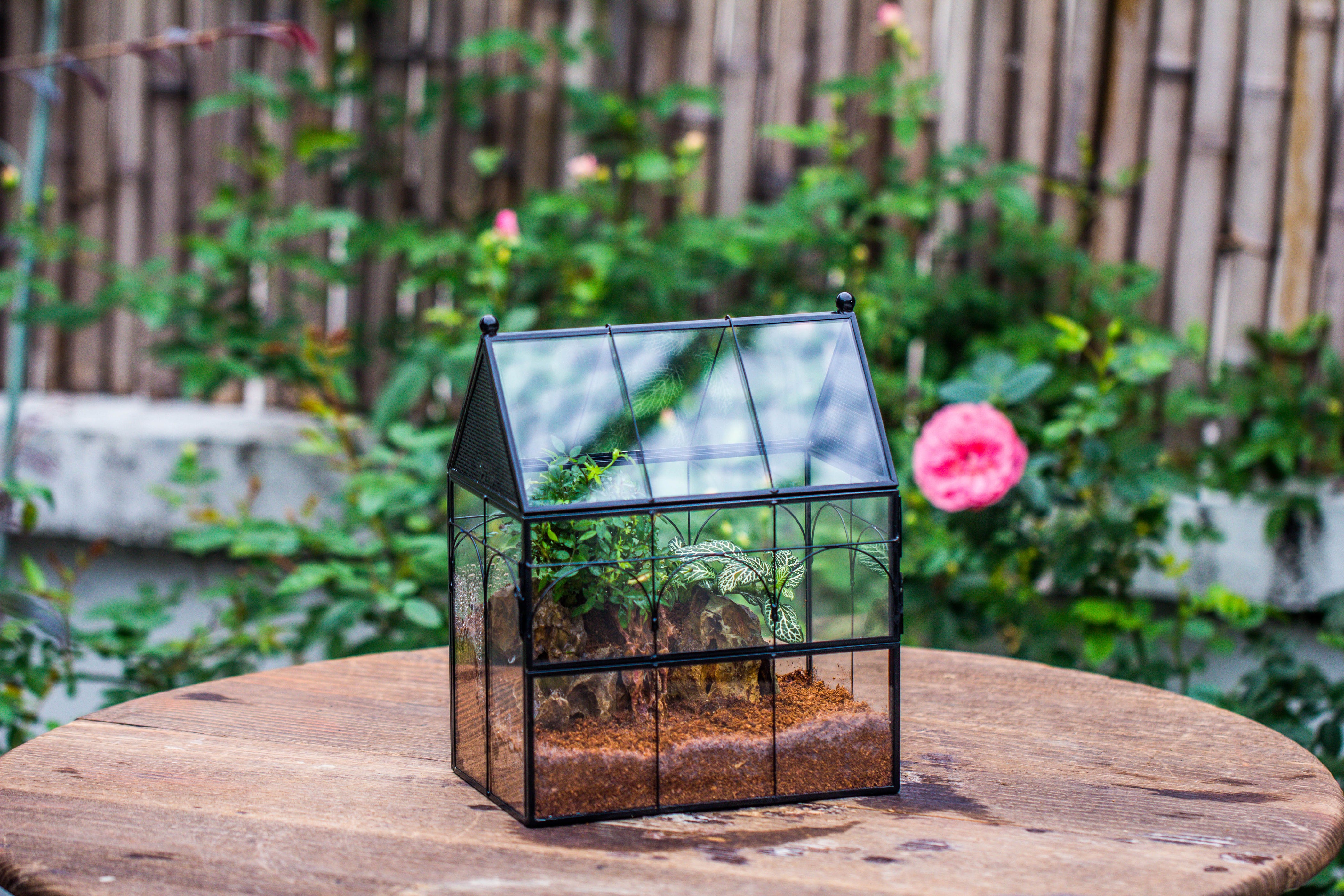 NCYP Vintage House Shape Tin and Glass Geometric Terrarium, with side