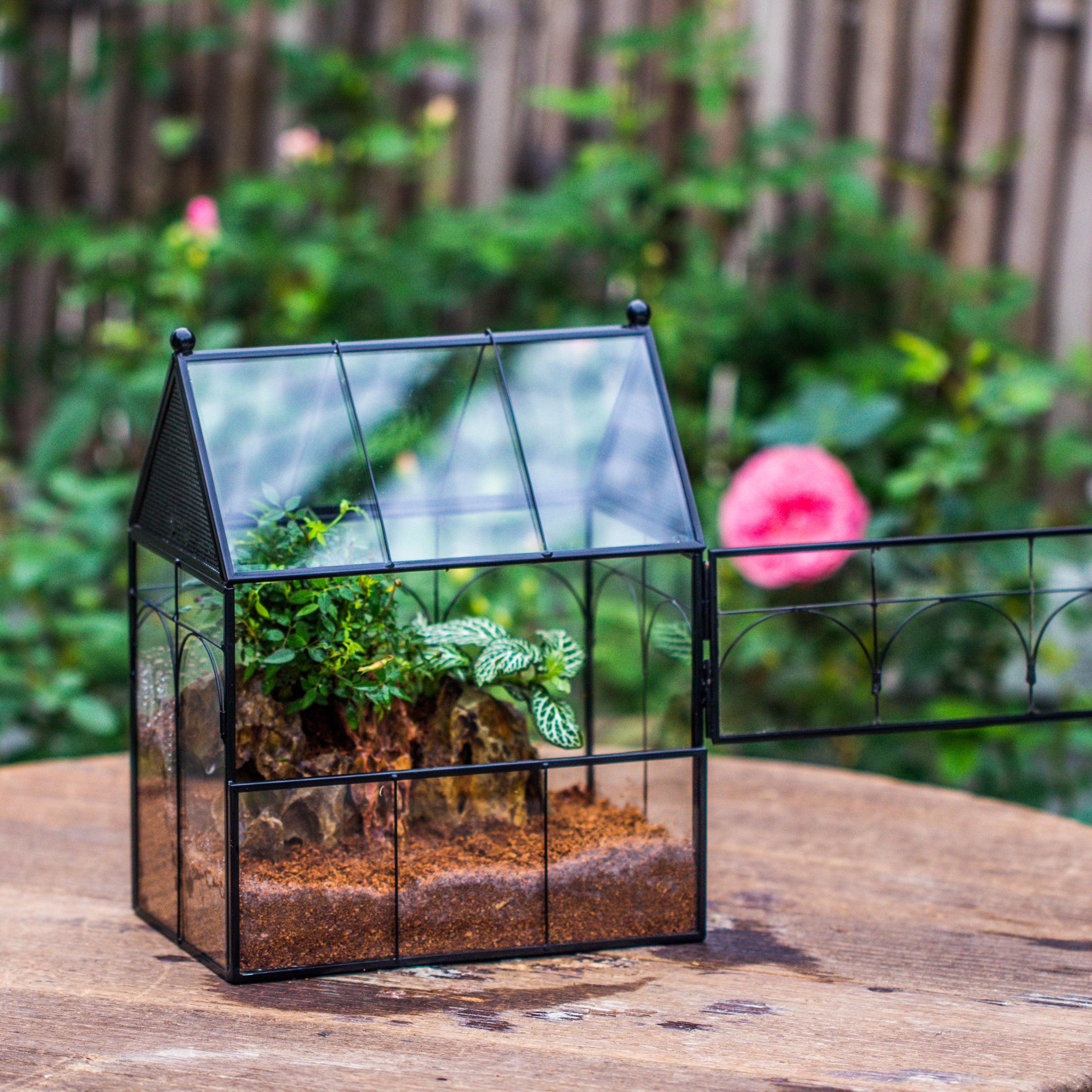 NCYP Vintage House Shape Tin and Glass Geometric Terrarium, with side ...
