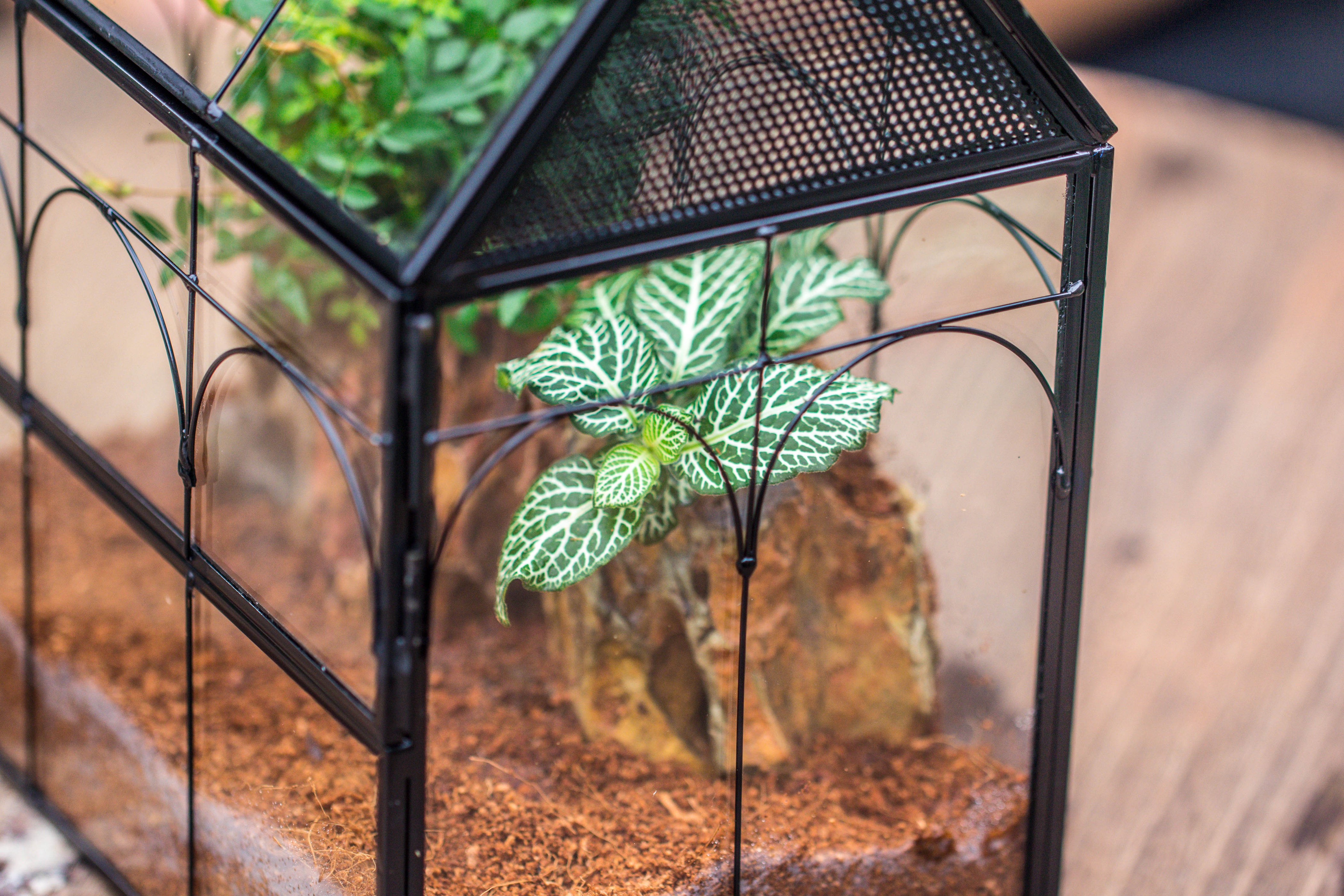 NCYP Vintage House Shape Tin and Glass Geometric Terrarium, with side