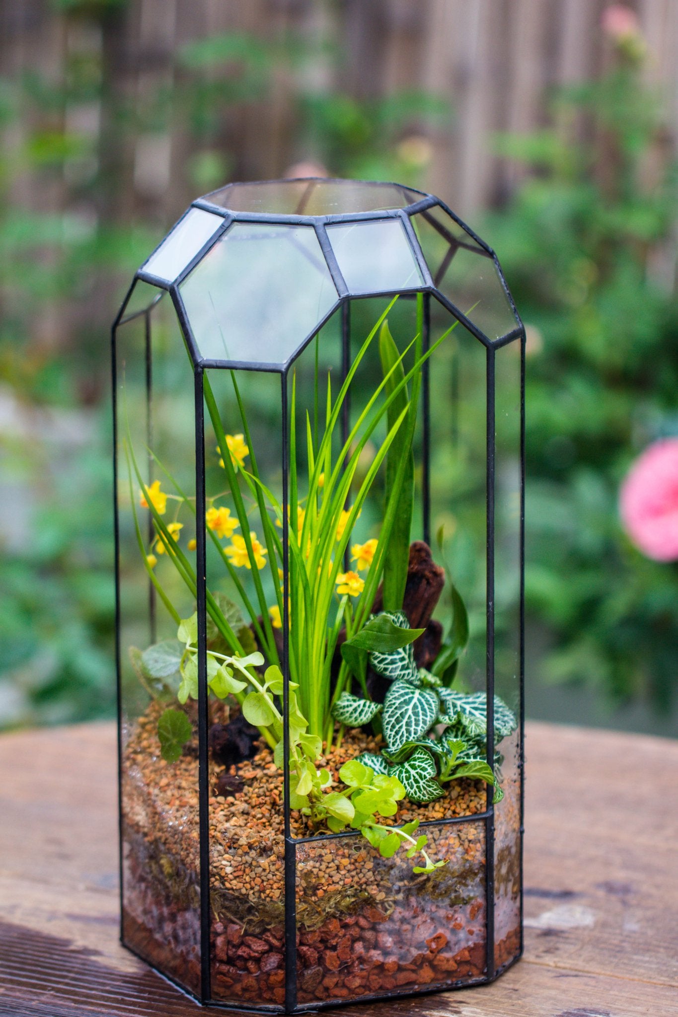Vintage Tall Octagon Geometric Tin Glass Terrarium , 12.6