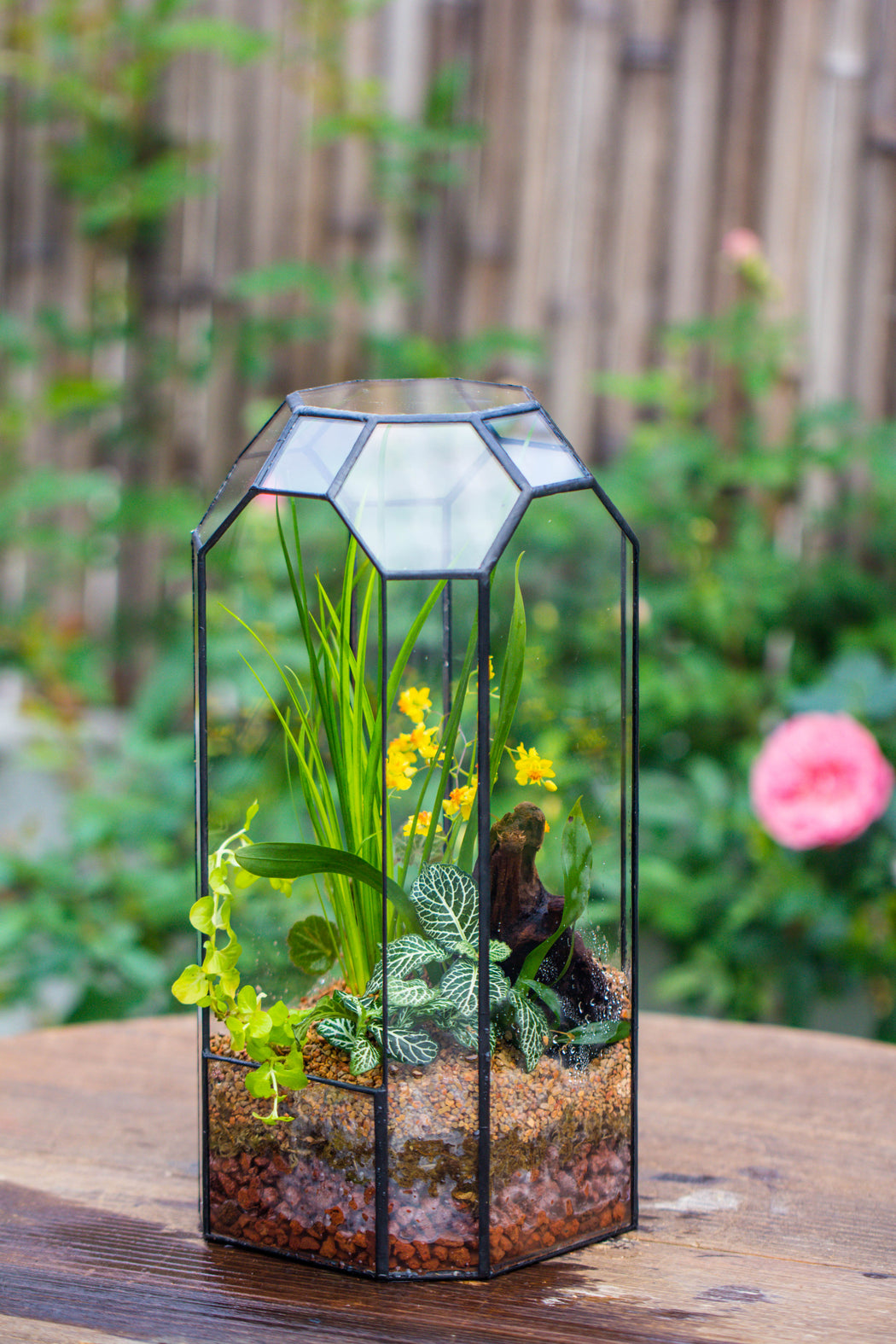 Vintage Tall Octagon Geometric Tin Glass Terrarium , 12.6" , open, suitable for tall plants, orchid, small begonia Pitcher, Micro landscape  -with white light set - NCYPgarden