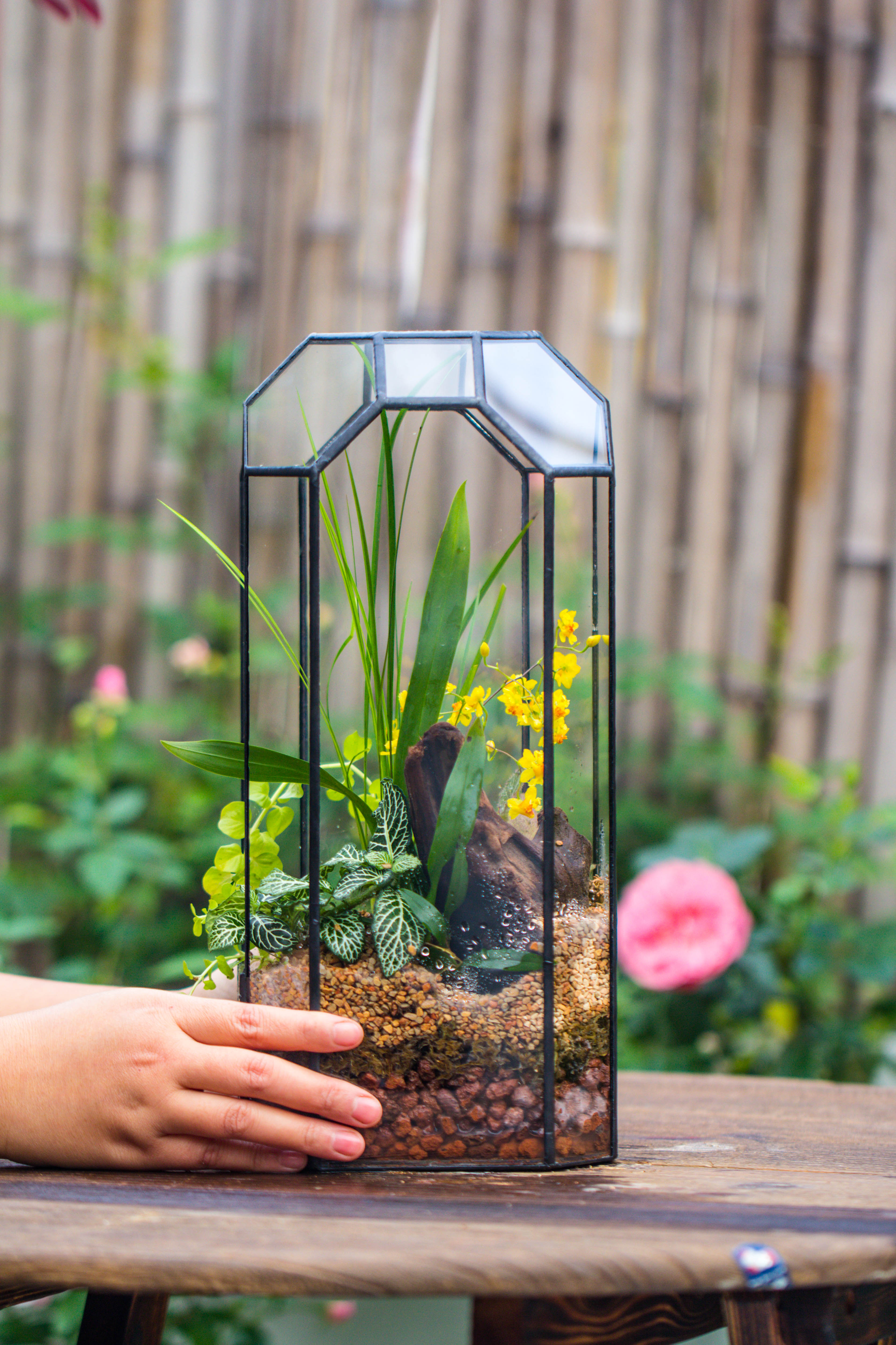 Vintage Tall Octagon Geometric Tin Glass Terrarium , 12.6" , open, suitable for tall plants, orchid, small begonia Pitcher, Micro landscape   -with warm light set - NCYPgarden