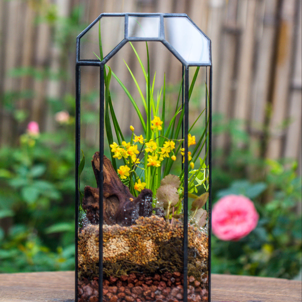 Vintage Tall Octagon Geometric Tin Glass Terrarium , 12.6" , open, suitable for tall plants, orchid, small begonia Pitcher, Micro landscape   -with warm light set - NCYPgarden