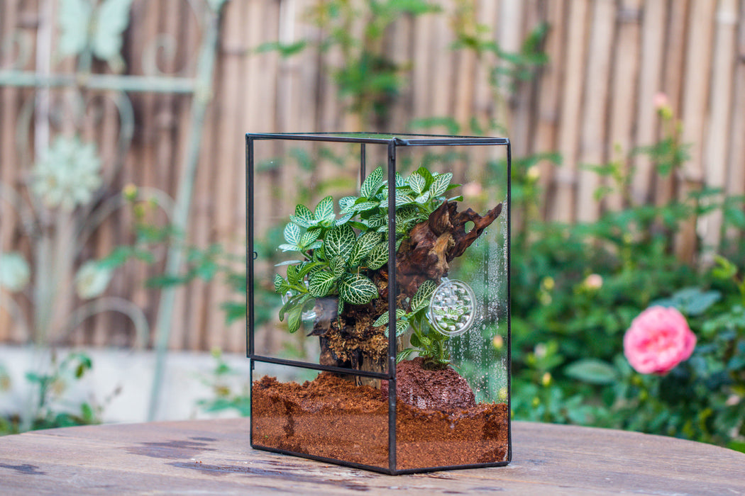 Close Geometric Glass Tin Terrarium with 3 Vents , 8x10" with side door, for insects, snail , spider, micro landscape  -with white light set - NCYPgarden