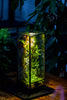 NCYP Close 11.8&quot; Tall Geometric Glass Terrarium with Door, Tin Sealed Pillar,  Planter for Moss Wall, Fern, Pitcher plants, tropical plants - NCYPgarden