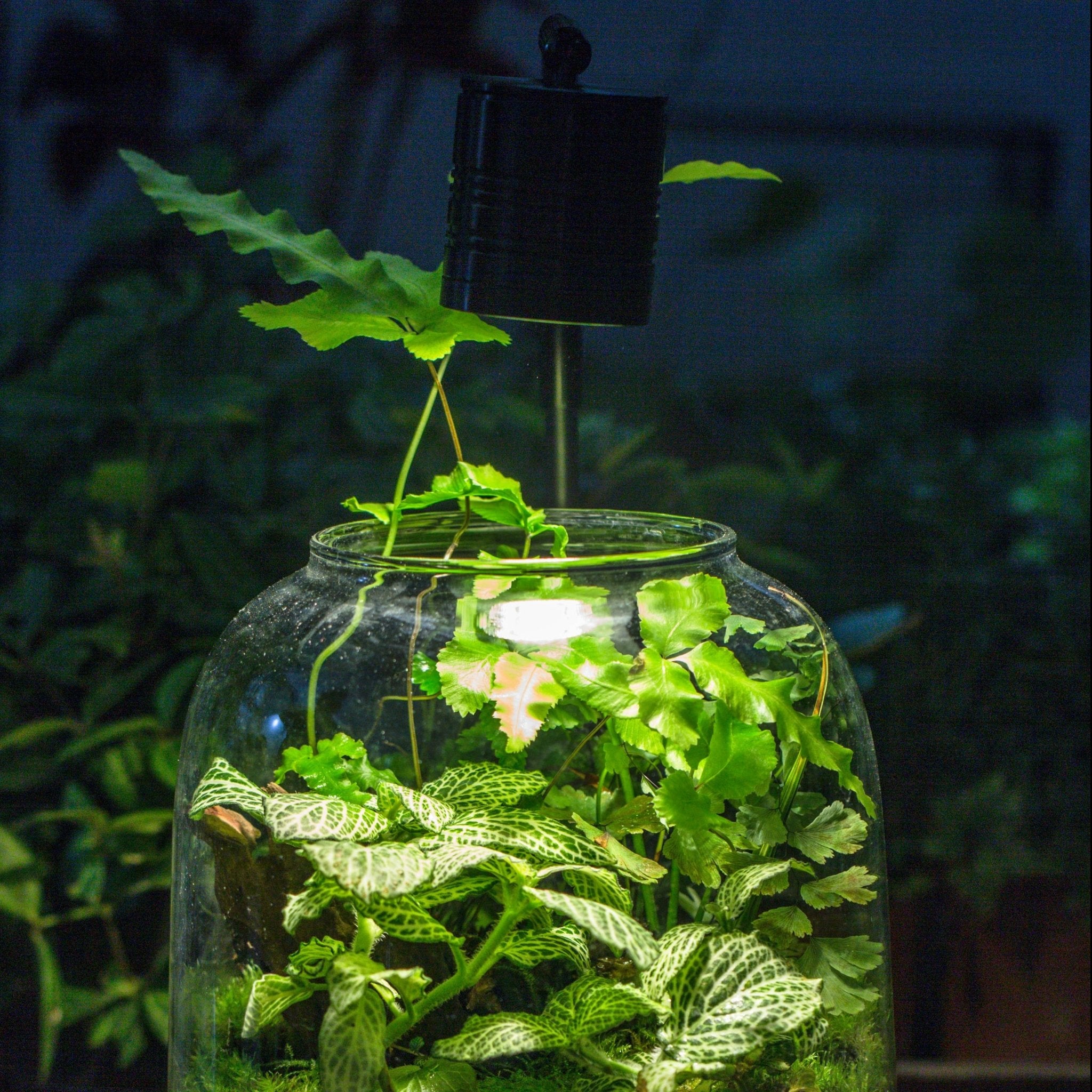 led plant grow lights aquarium Warm White LED Grow Light with Stand for Terrarium – NCYPgarden