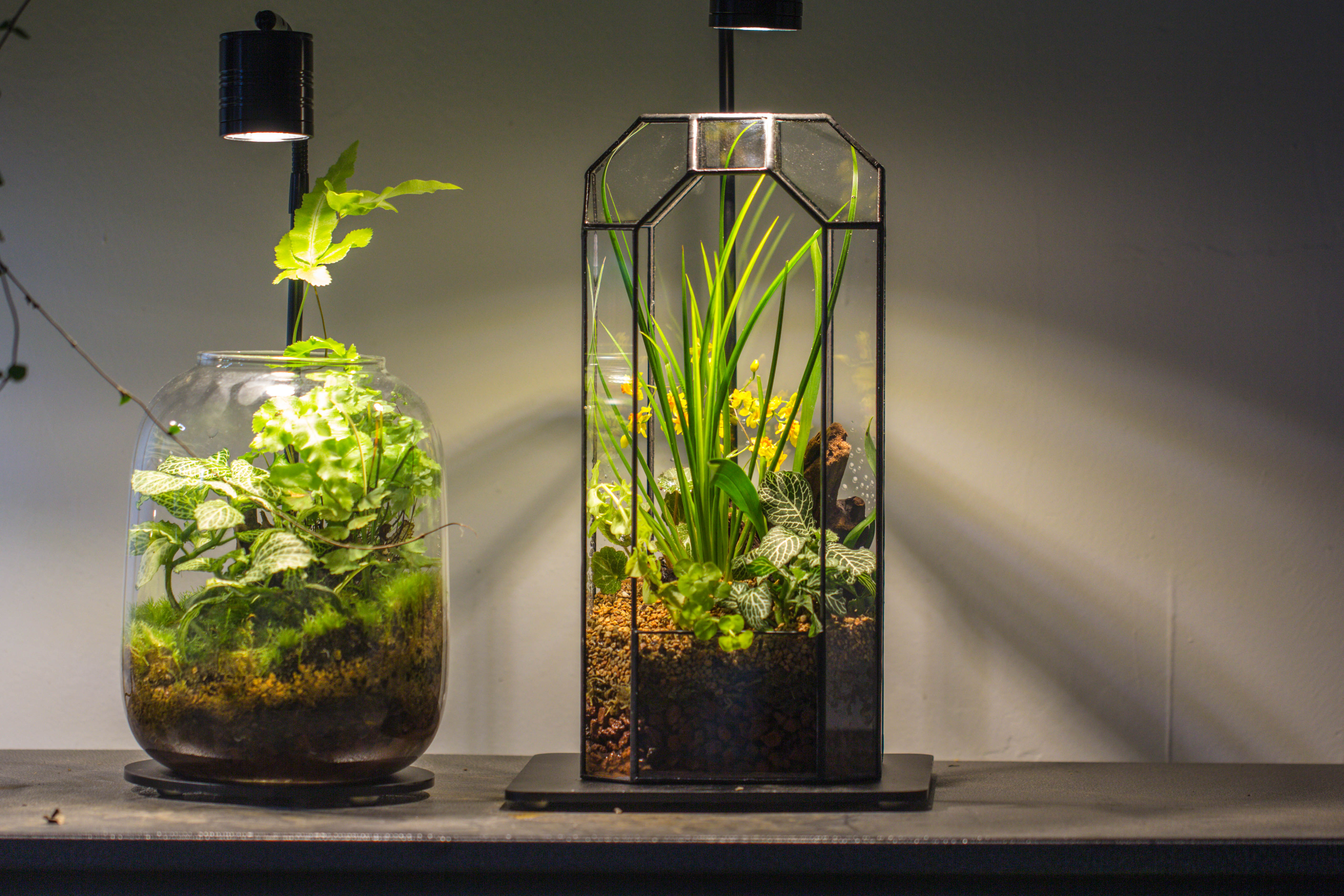 Vintage Tall Octagon Geometric Tin Glass Terrarium , 12.6" , open, suitable for tall plants, orchid, small begonia Pitcher, Micro landscape   -with warm light set - NCYPgarden