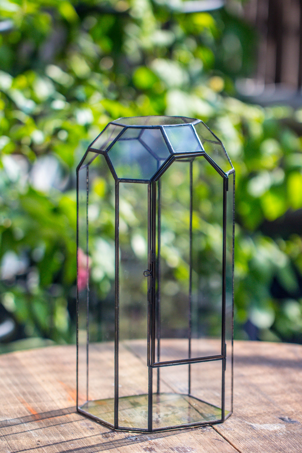 Vintage Tall Octagon Geometric Tin Glass Terrarium , 12.6" , close, suitable for tall plants, orchid, small begonia Pitcher, Micro landscape    -with warm light set - NCYPgarden
