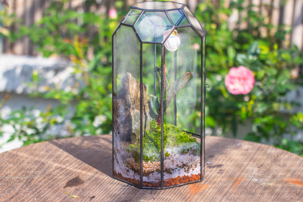 Vintage Tall Octagon Geometric Tin Glass Terrarium , 12.6" , close, suitable for tall plants, orchid, small begonia Pitcher, Micro landscape - NCYPgarden