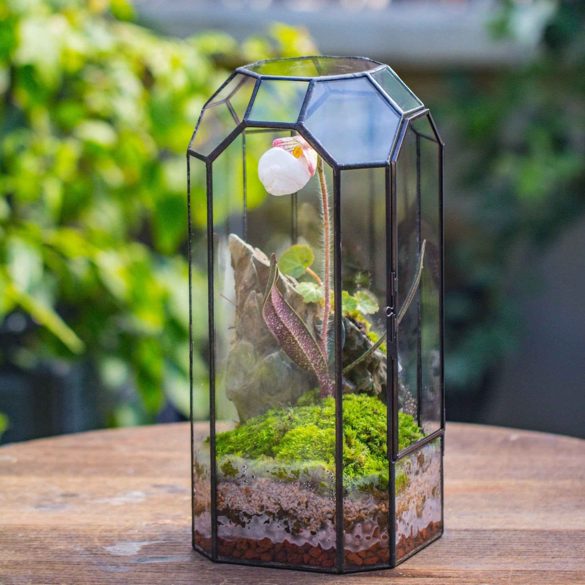 Vintage Tall Octagon Geometric Tin Glass Terrarium , 12.6