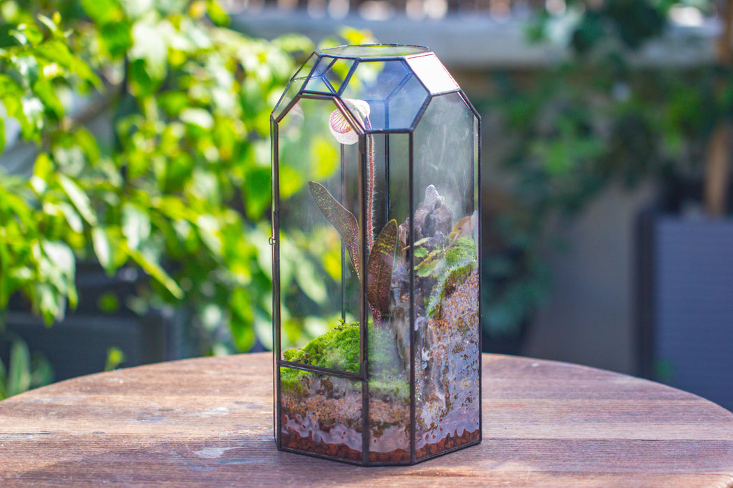 Vintage Tall Octagon Geometric Tin Glass Terrarium , 12.6" , close, suitable for tall plants, orchid, small begonia Pitcher, Micro landscape - NCYPgarden