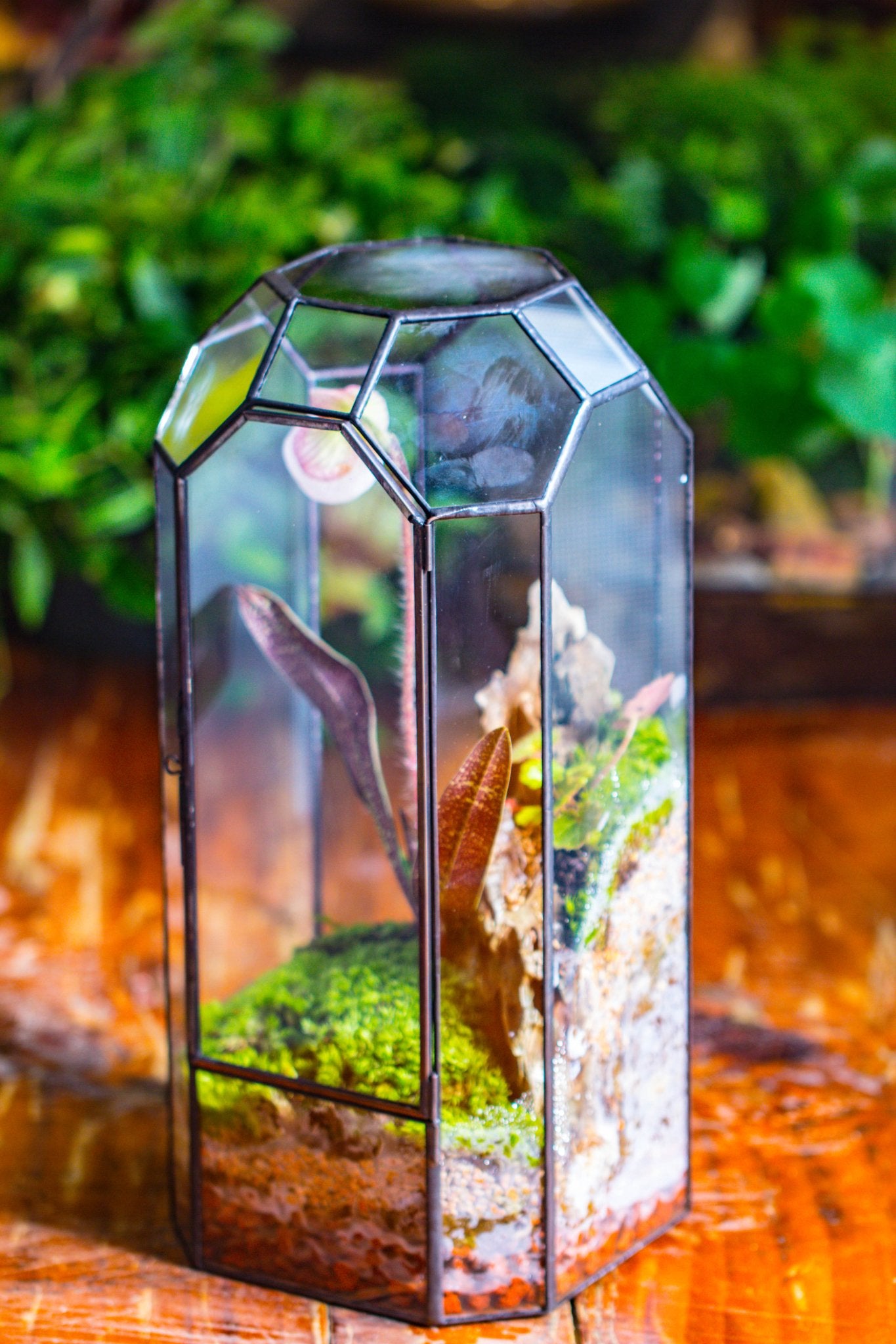 Vintage Tall Octagon Geometric Tin Glass Terrarium , 12.6