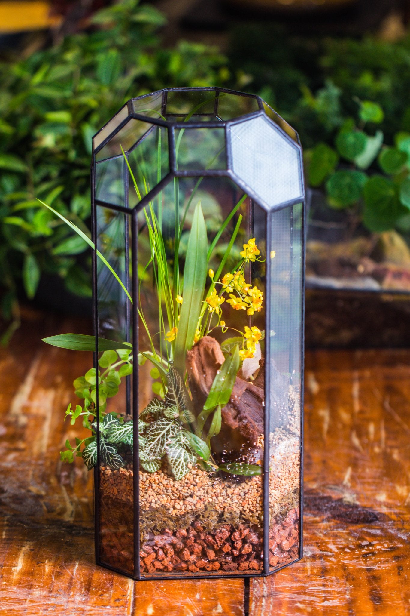 Vintage Tall Octagon Geometric Tin Glass Terrarium , 12.6