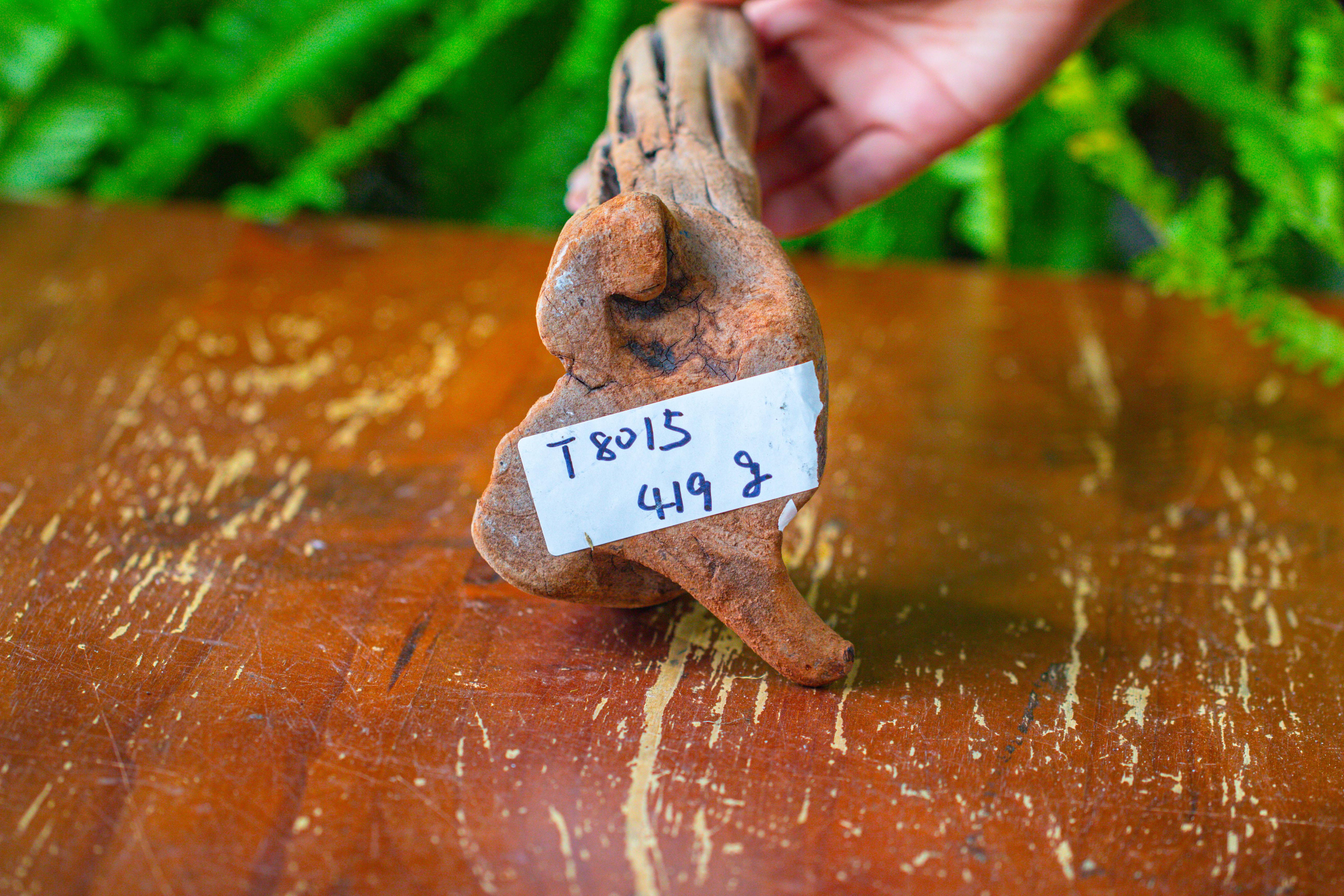 driftwood for moss terrarium, miniature, micro landscape,T8015 - NCYPgarden