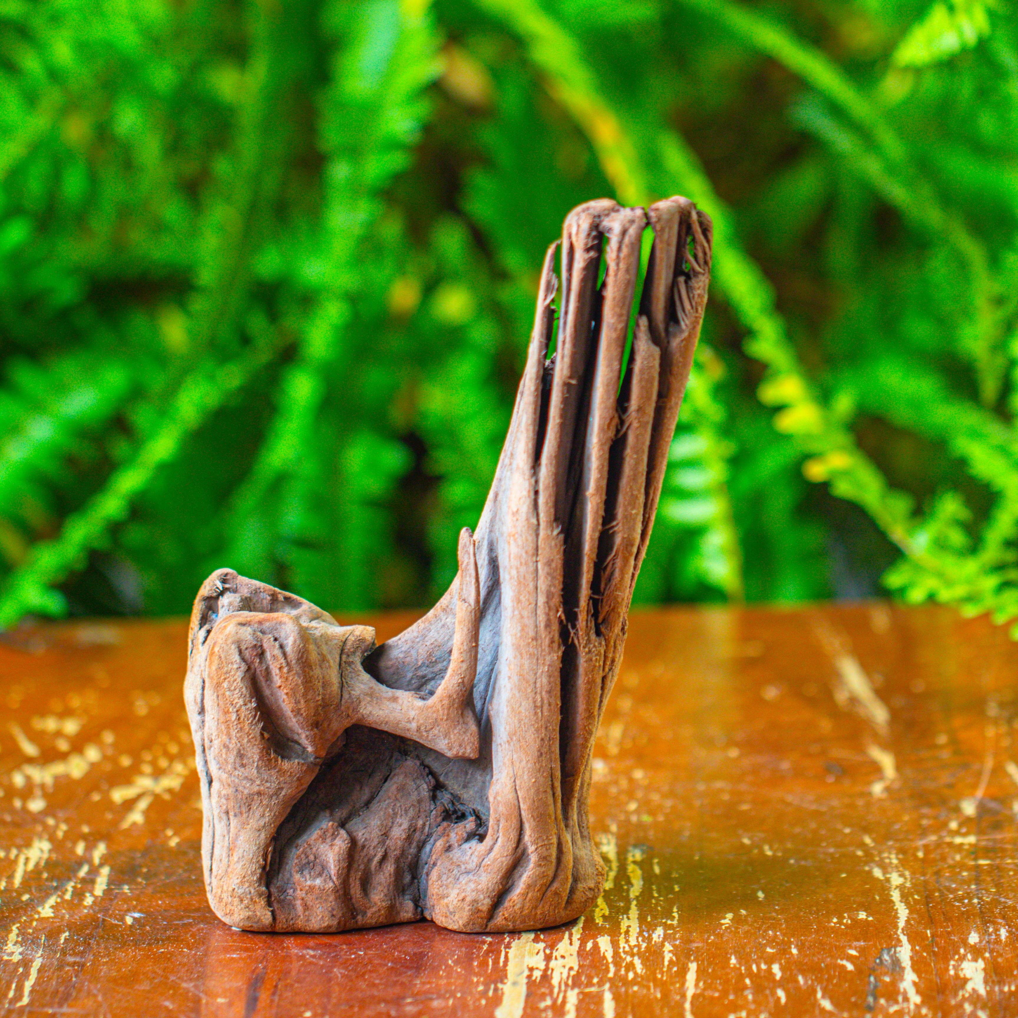 driftwood for moss terrarium, miniature, micro landscape,T8015 - NCYPgarden