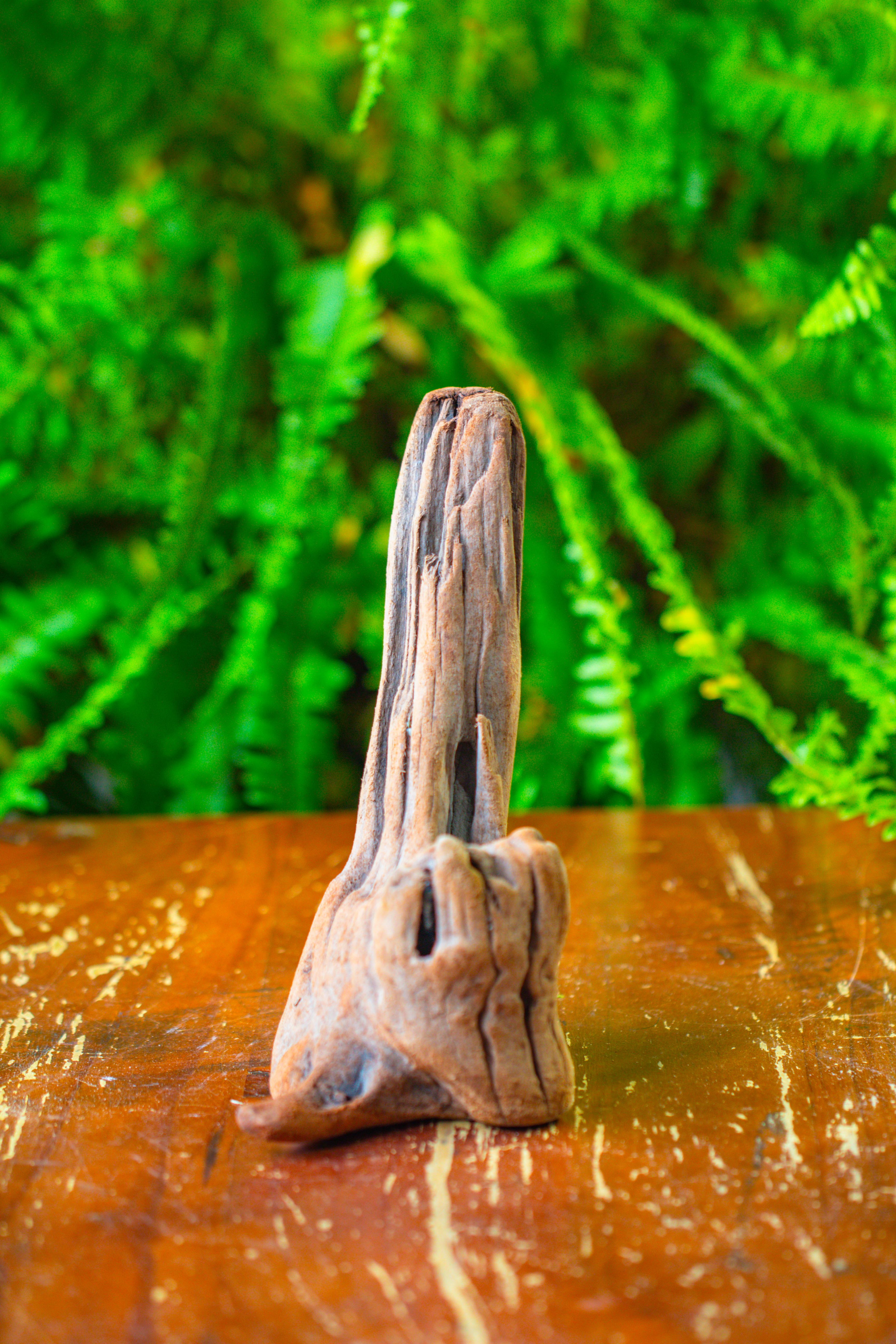 driftwood for moss terrarium, miniature, micro landscape,T8015 - NCYPgarden